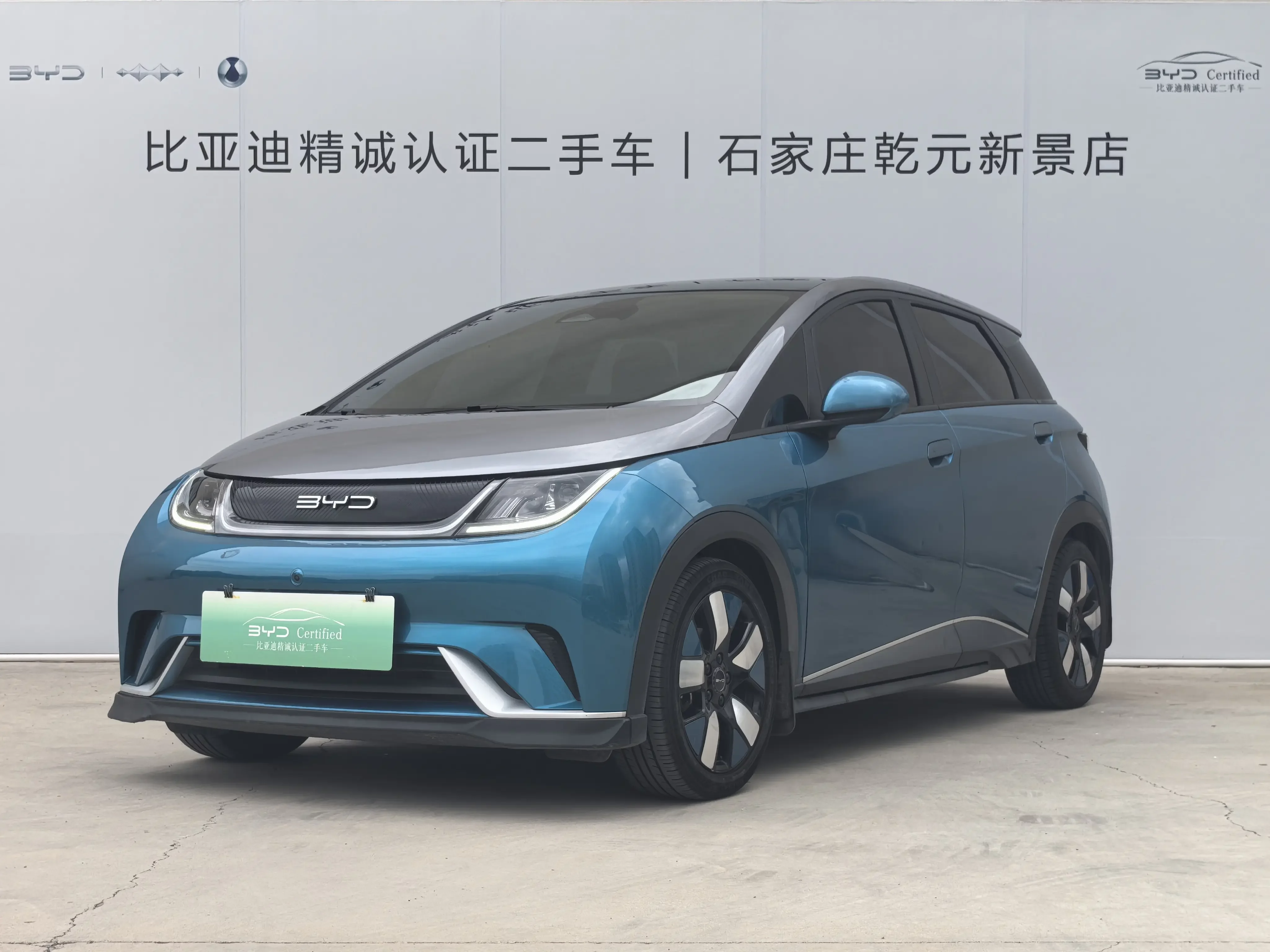 BYD dolphin