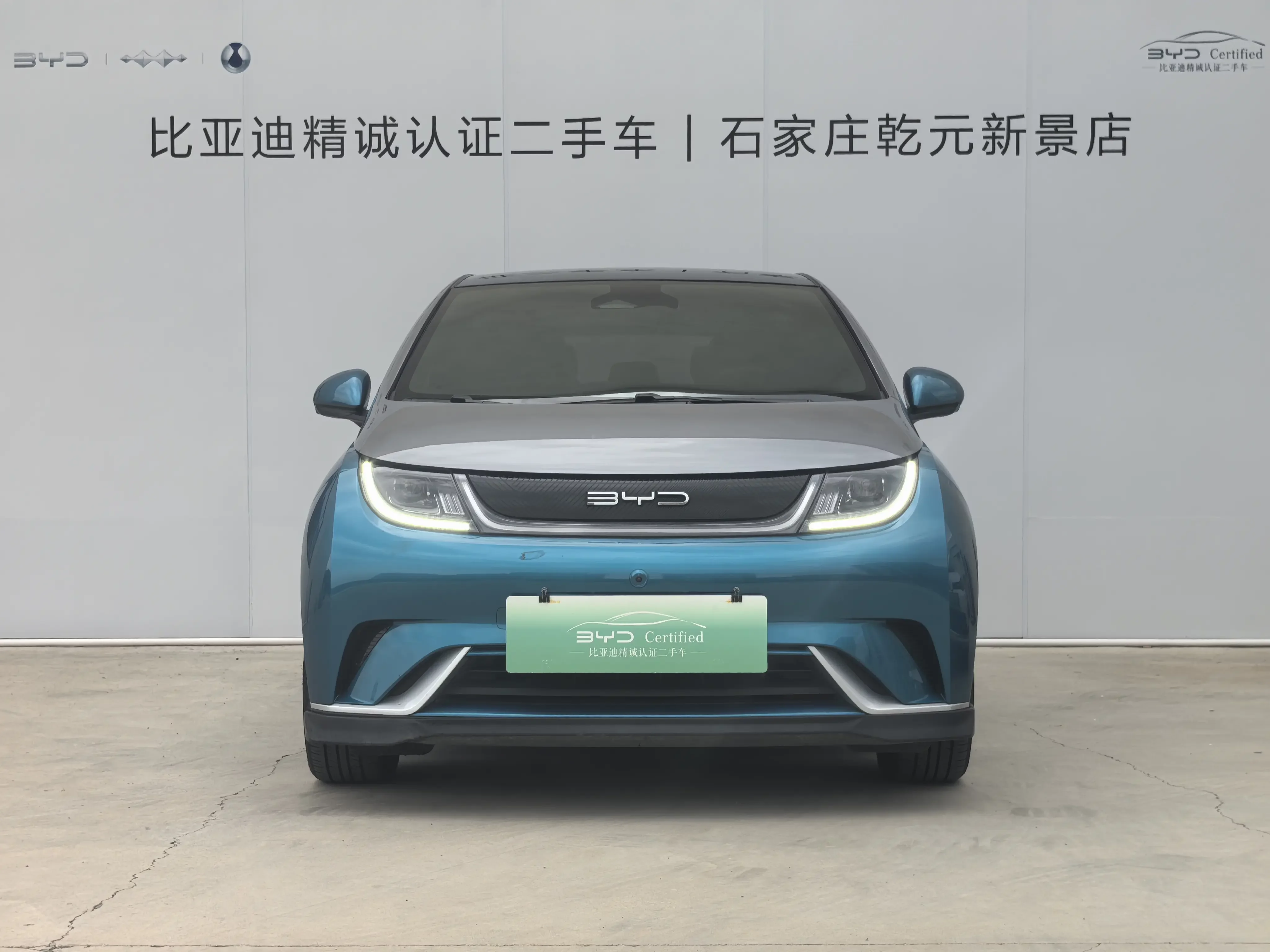 BYD dolphin