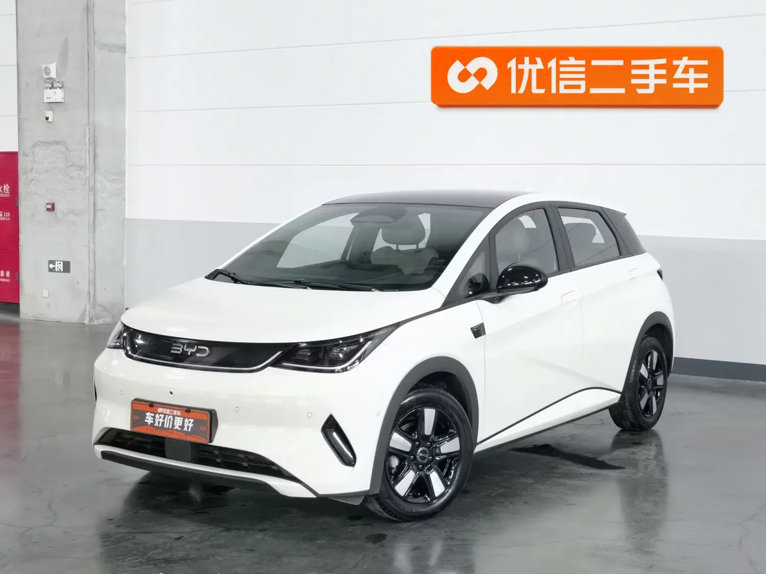 BYD dolphin