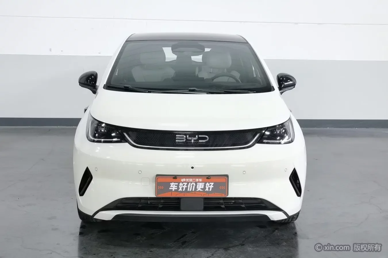 BYD dolphin