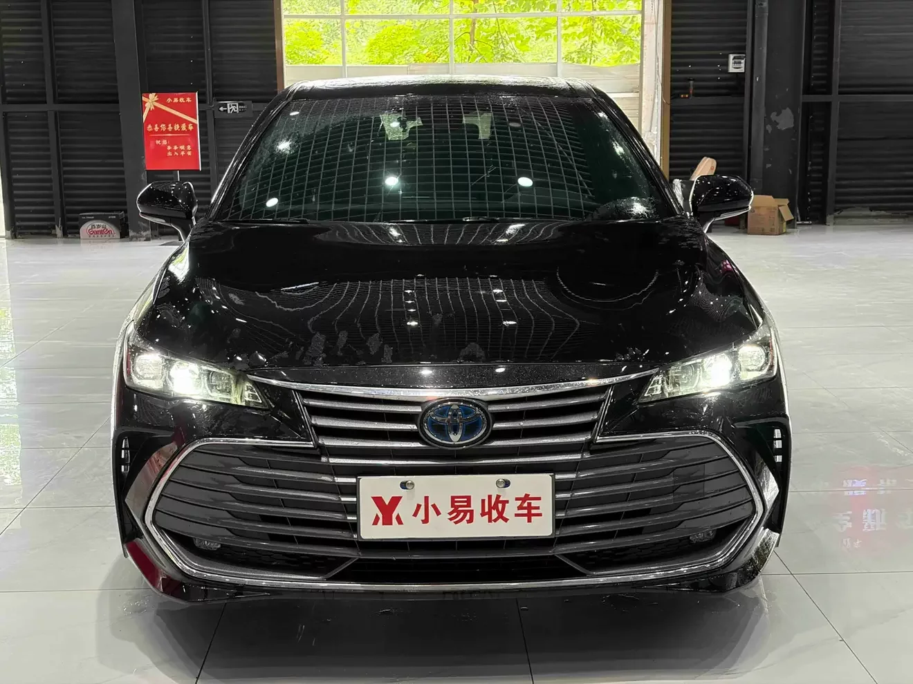 Toyota Avalon (asian dragon)