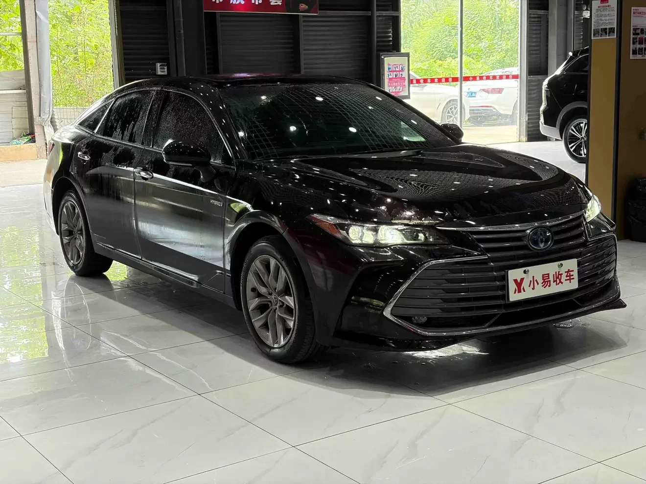 Toyota Avalon (asian dragon)