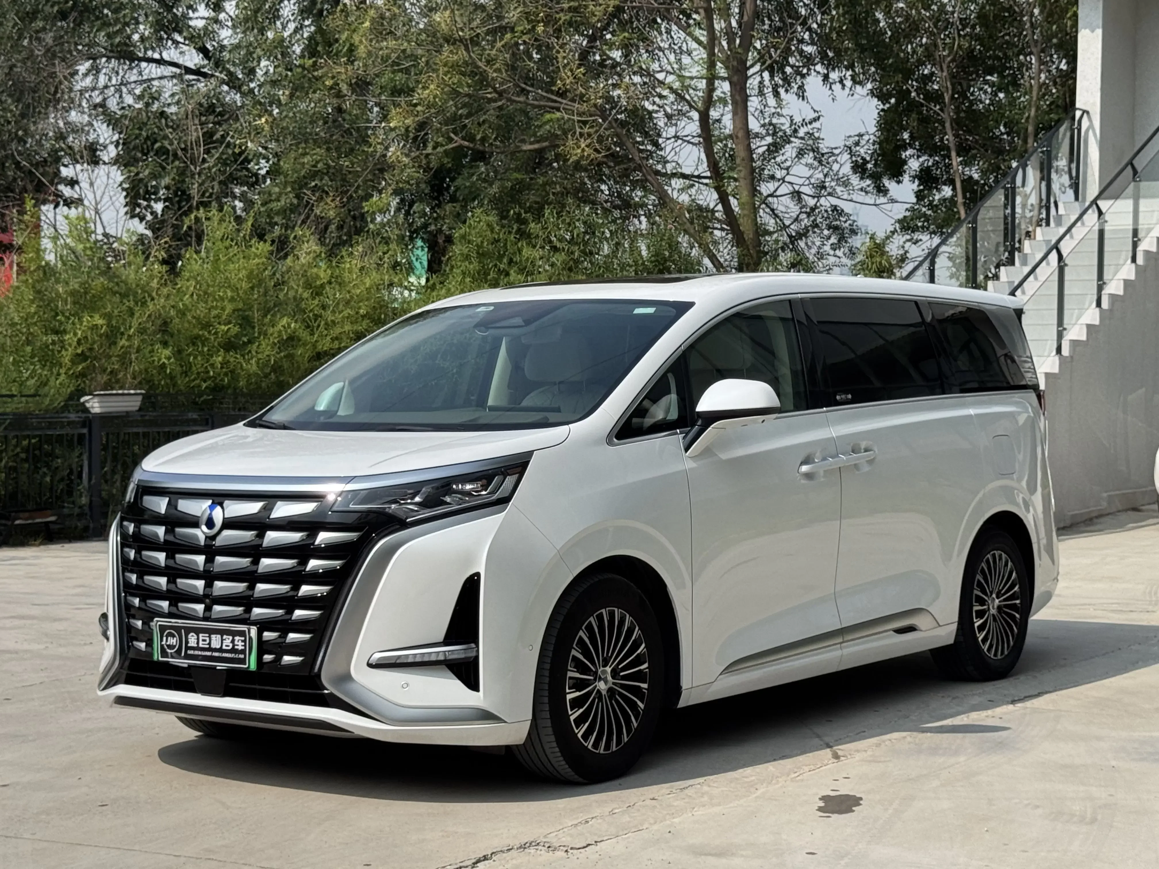 Denza D9 DM