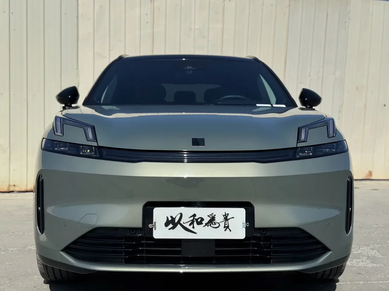 Lynk & Co 08 EM-P
