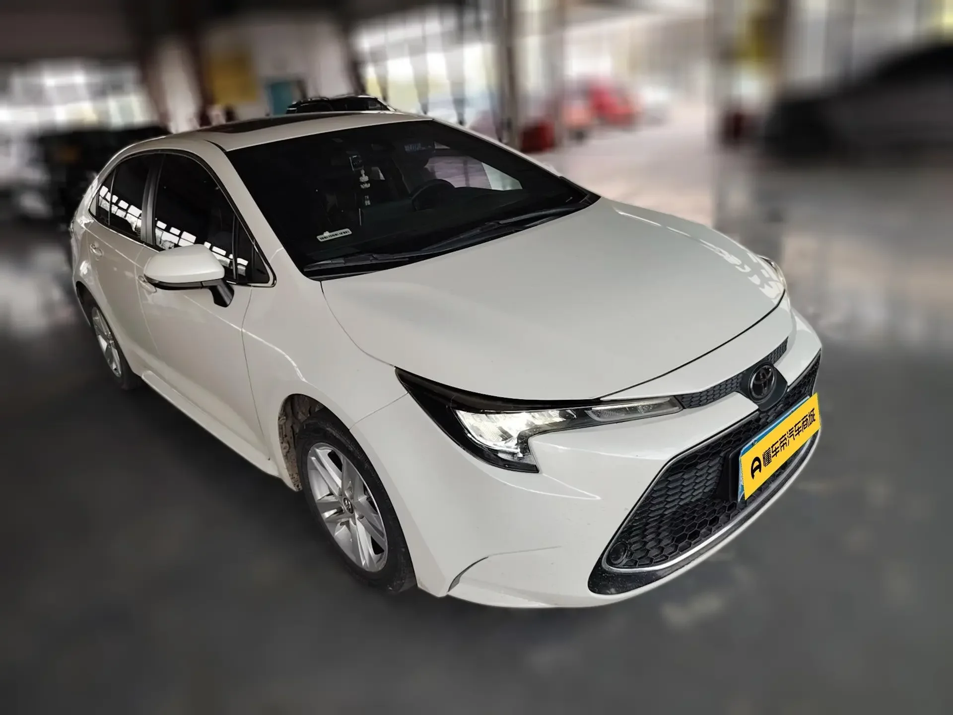 Toyota Levin (Lei Ling)