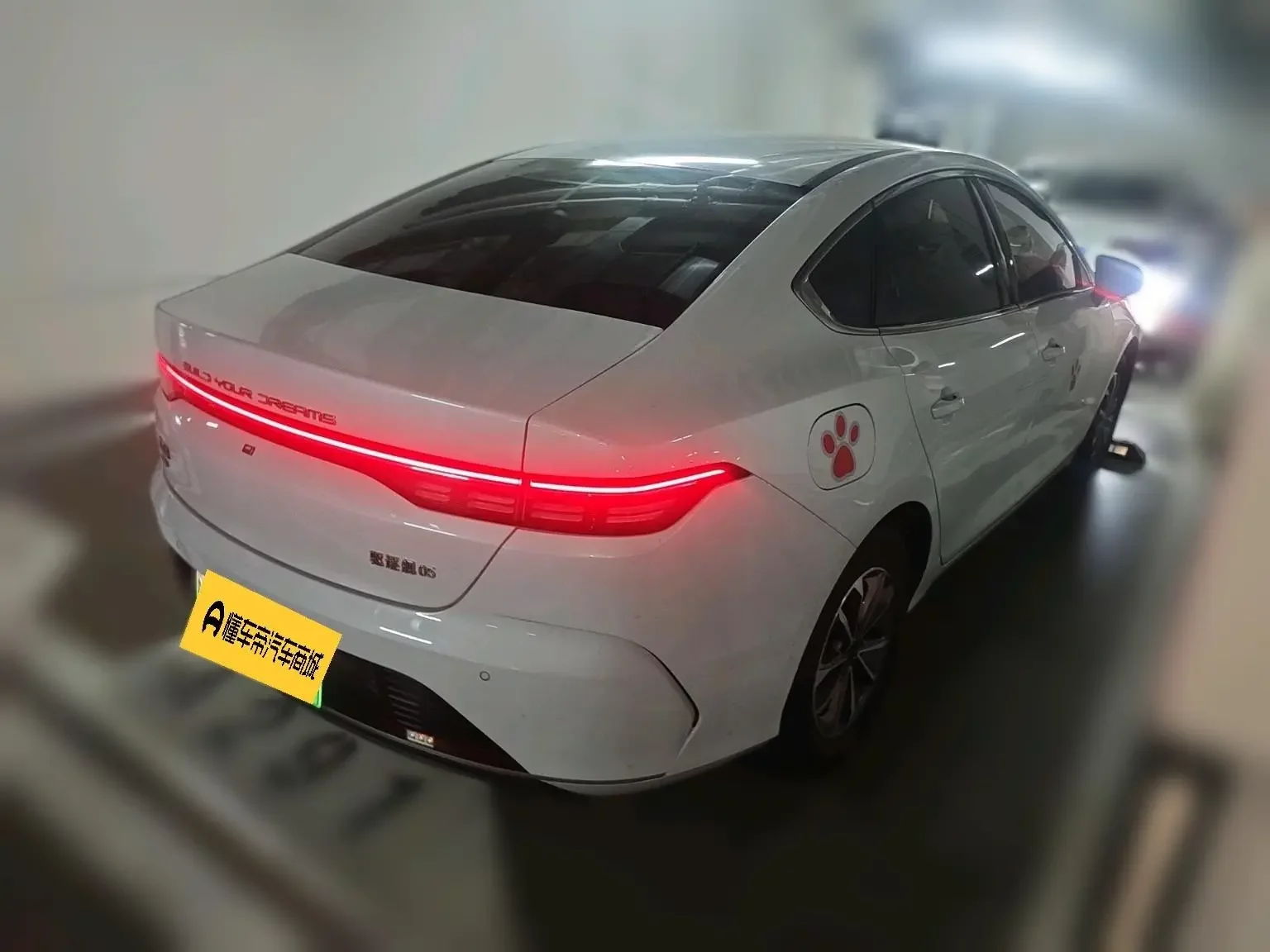BYD Destroyer 05