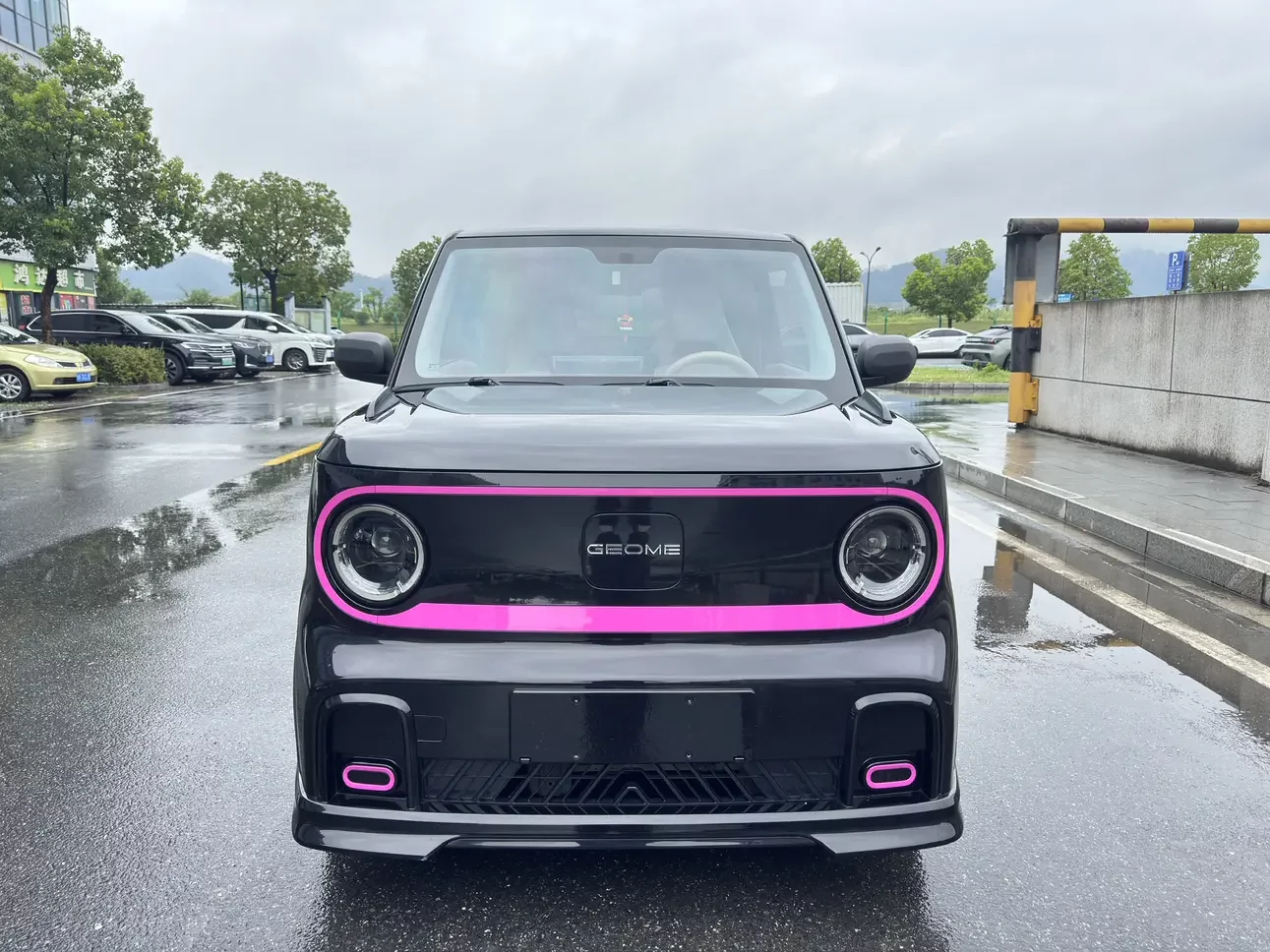 Geely panda