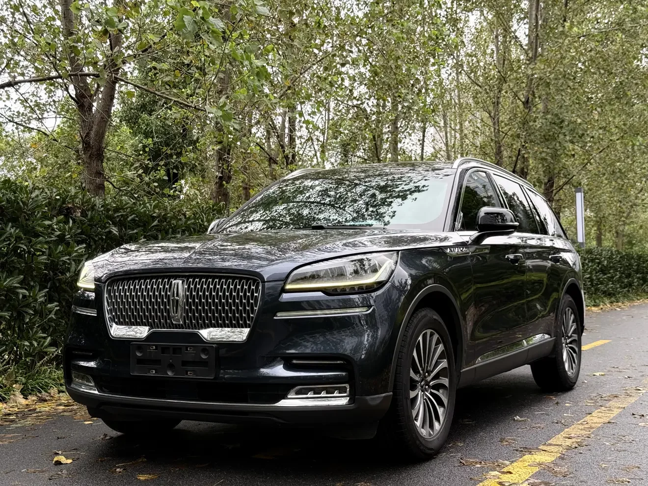 Lincoln aviator