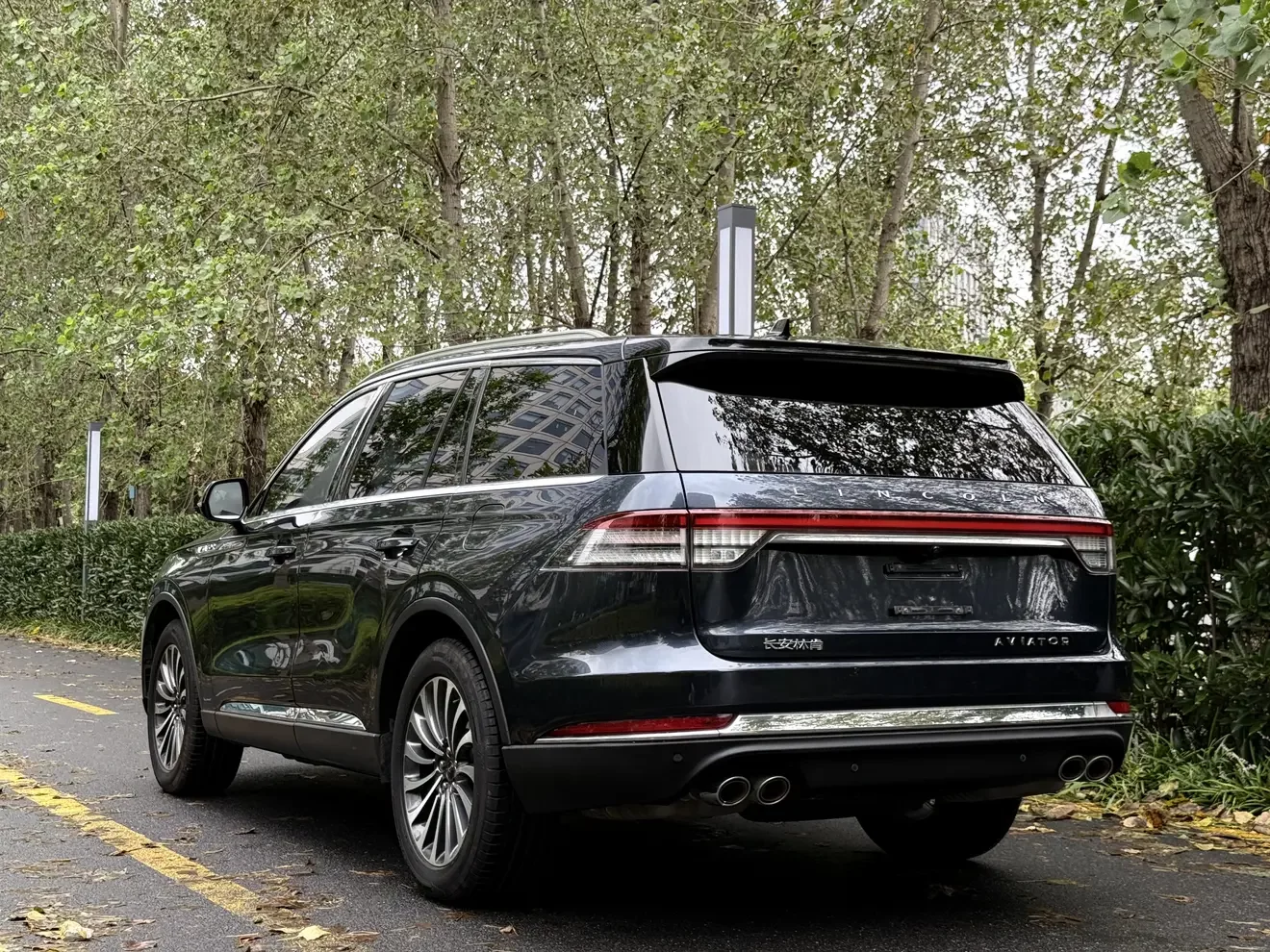 Lincoln aviator