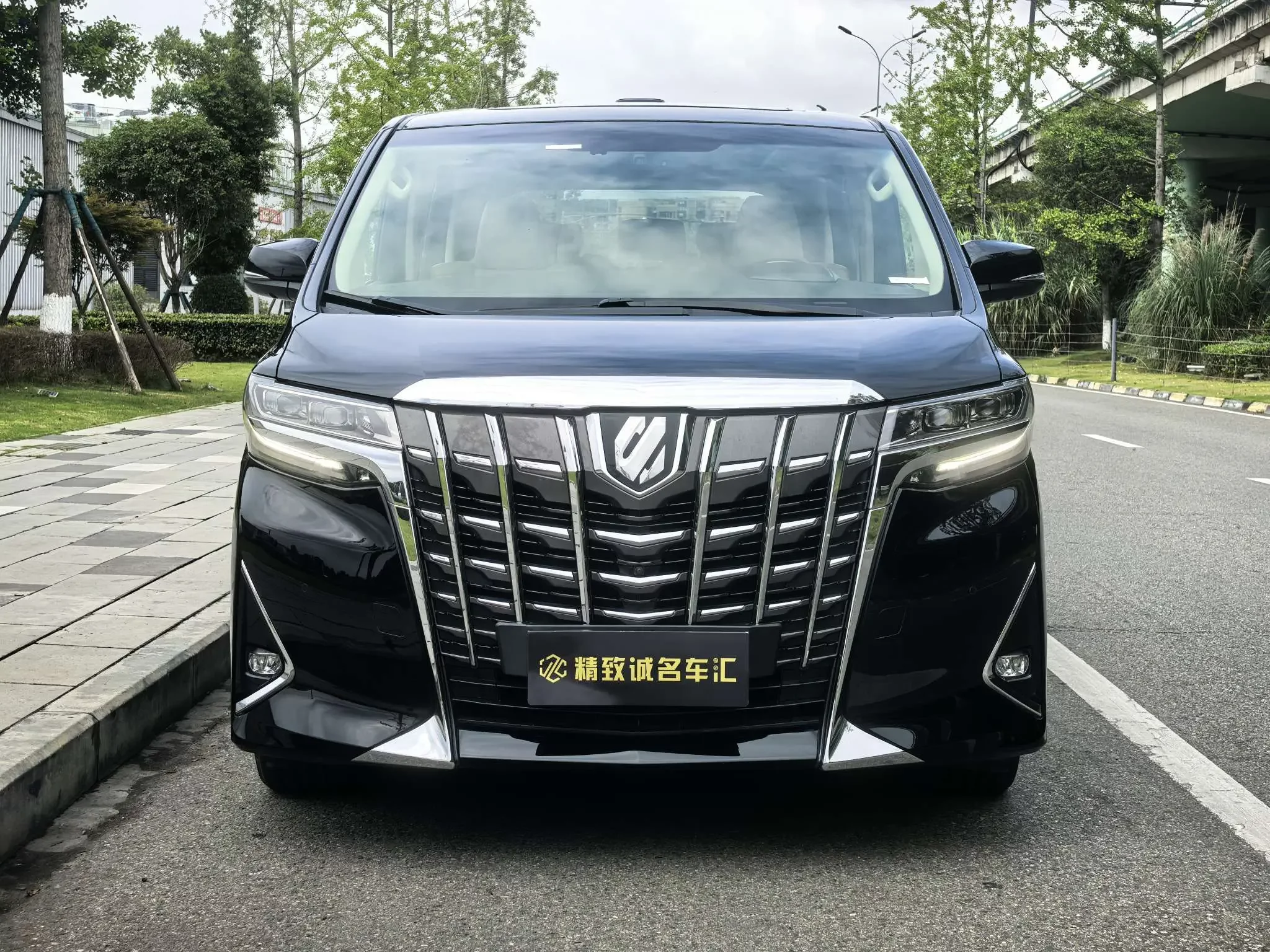 Toyota Alphard (Elfa)