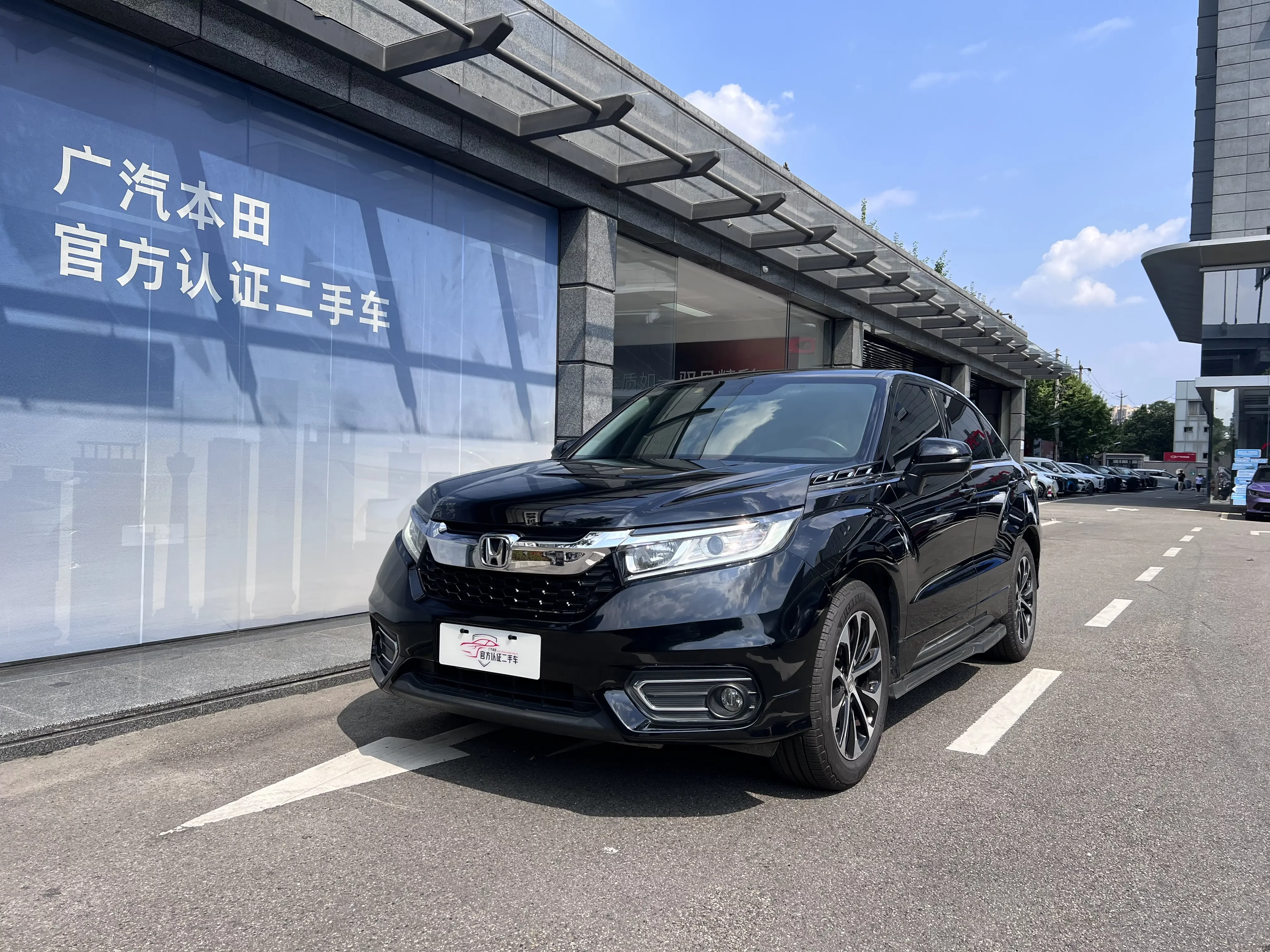 Honda Avancier (Crown Road)