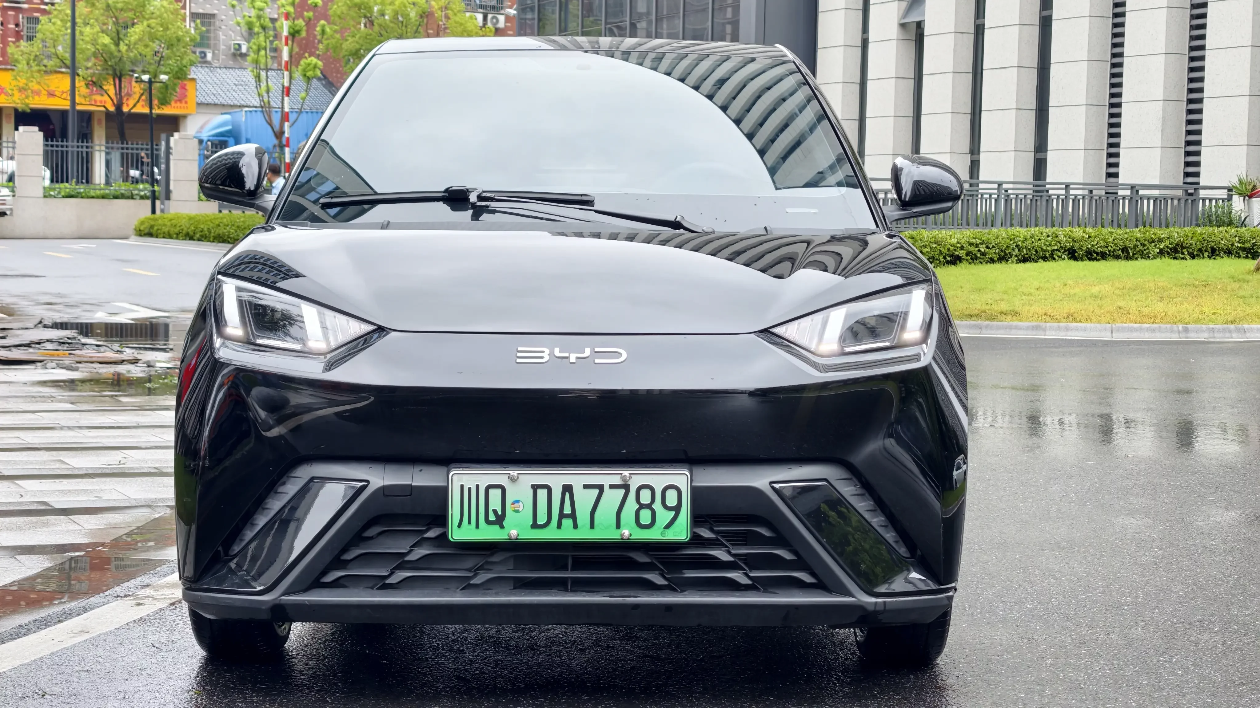 BYD seagull