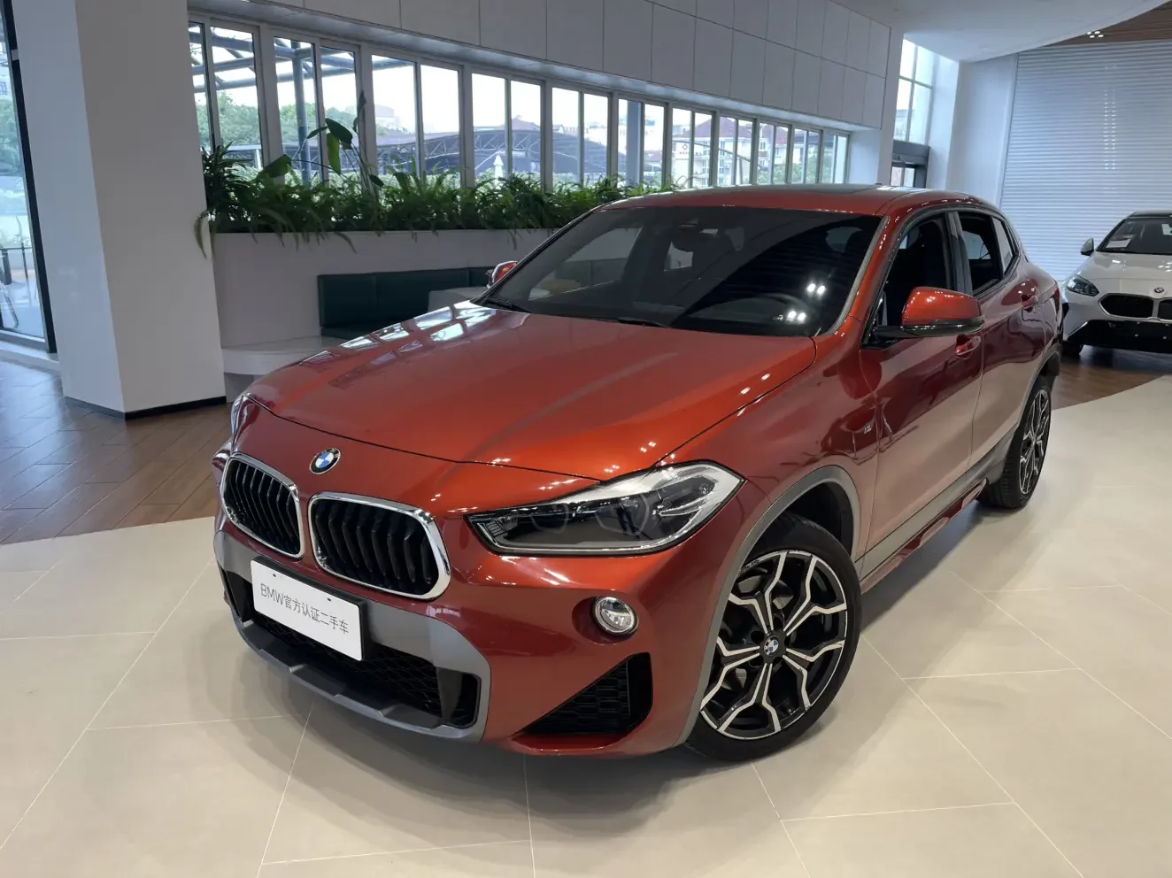 BMW X2