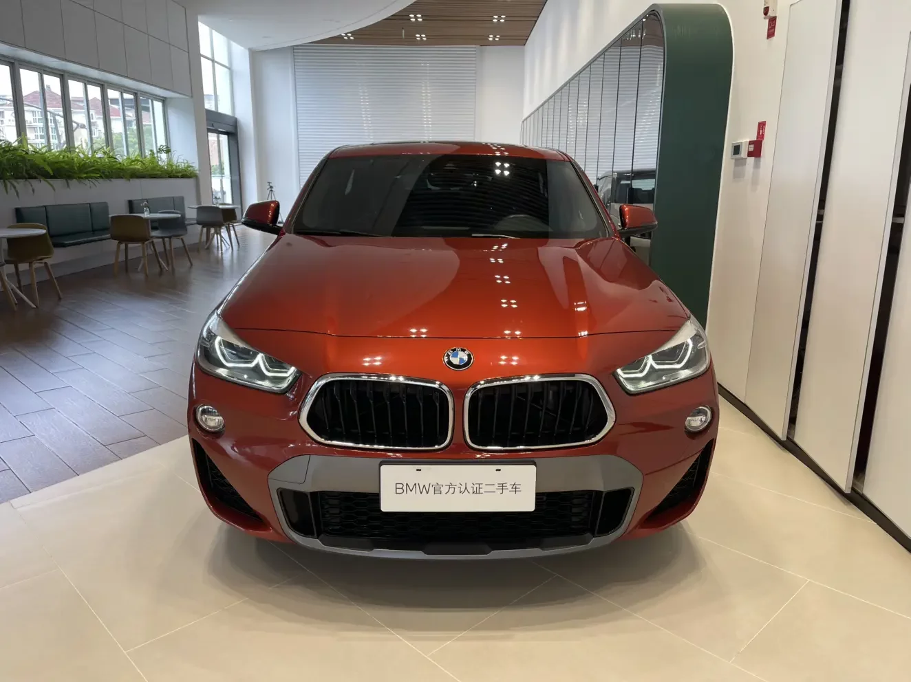 BMW X2