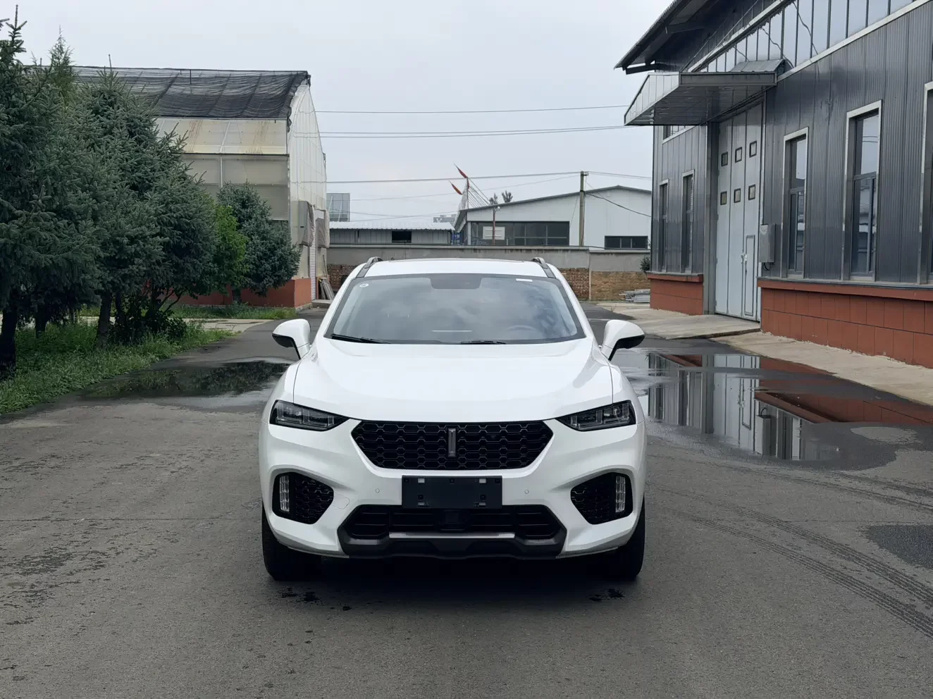 Wey Wei brand VV7