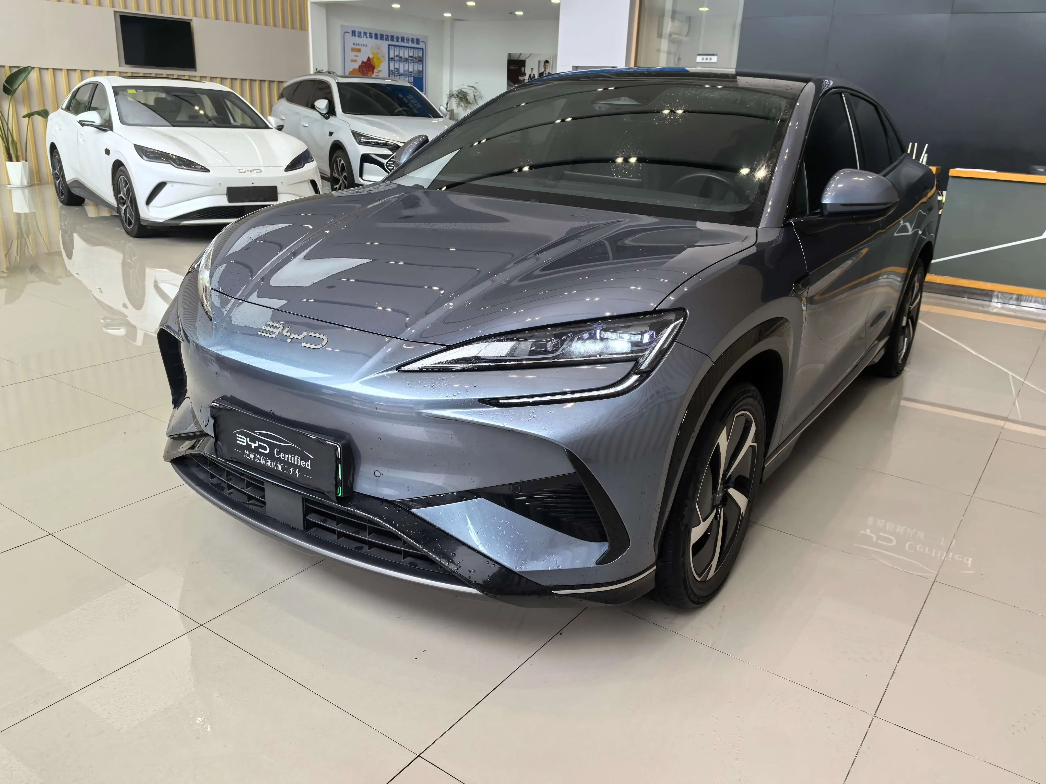 BYD Sea Lion 07EV