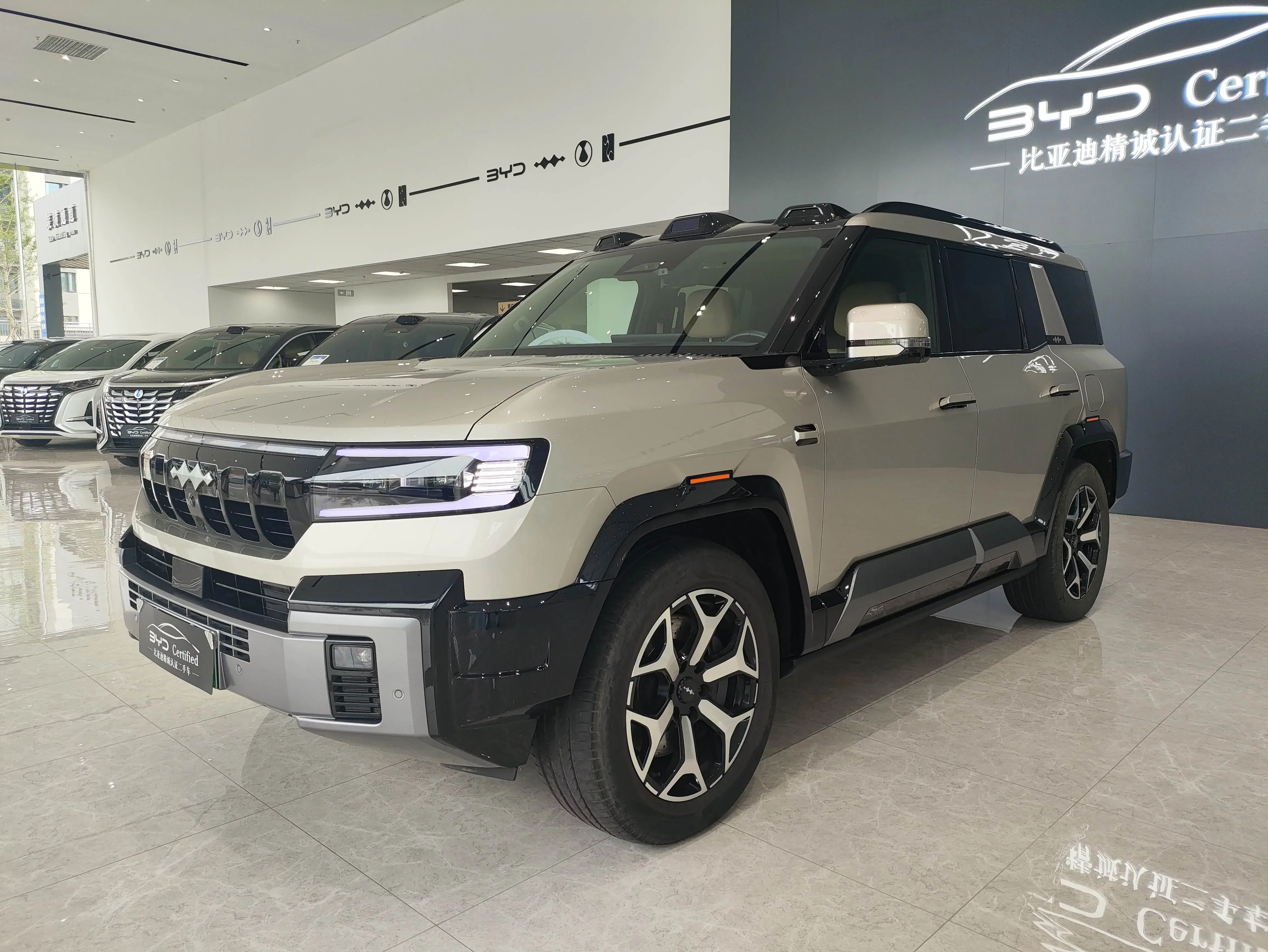 BYD Leopard Leopard 8