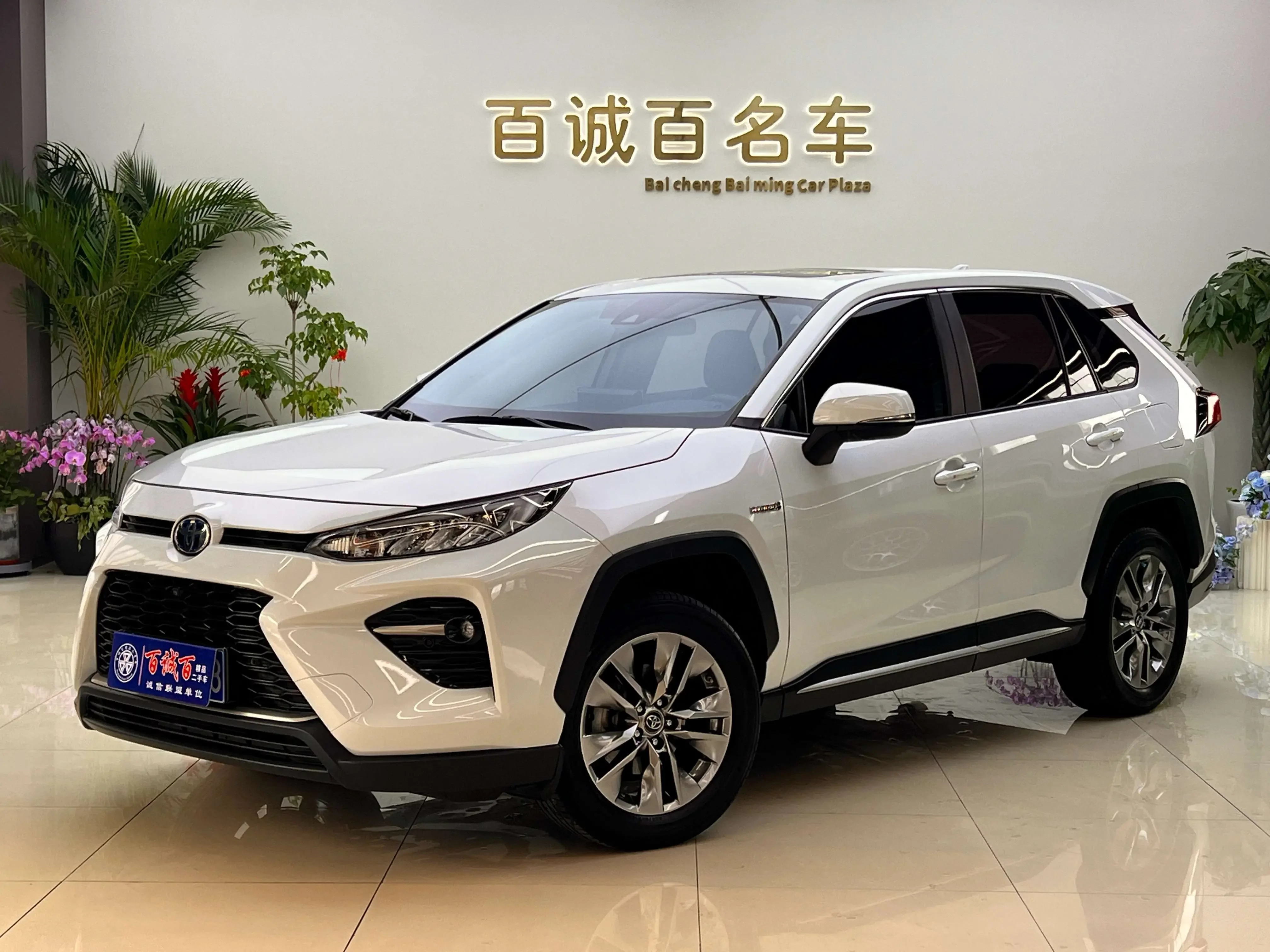 Toyota Willanda