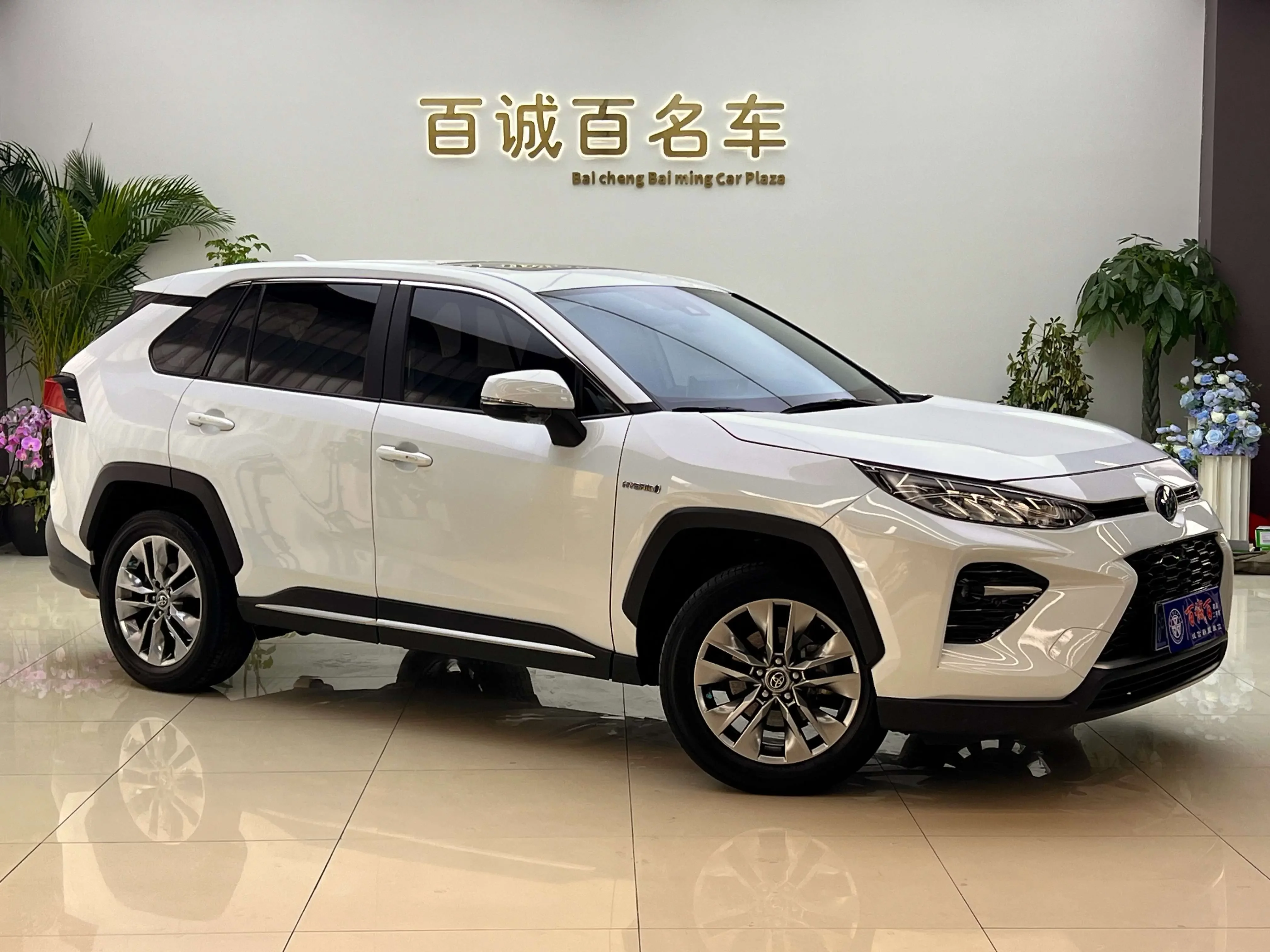 Toyota Willanda