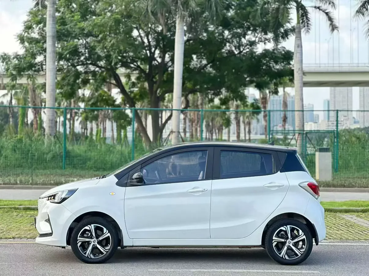 Oshan Benben E-Star