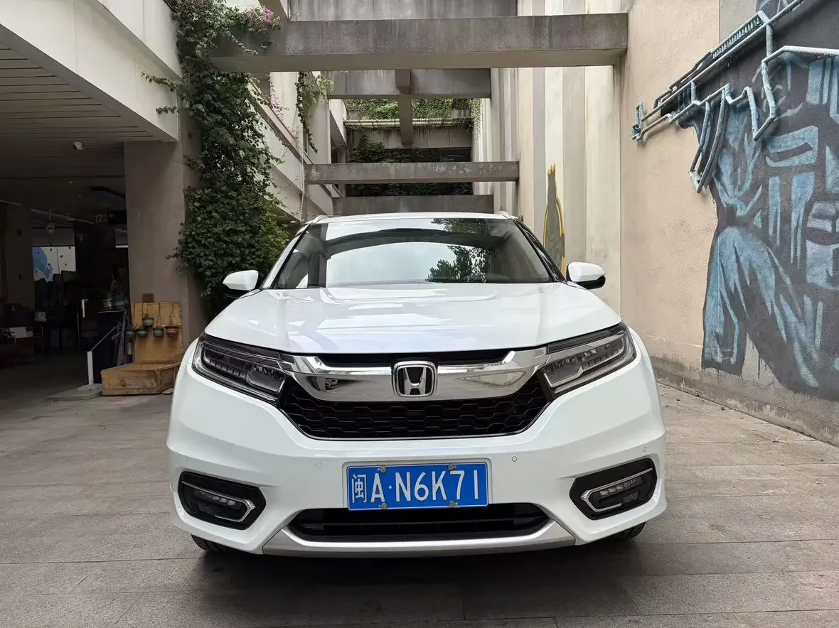 Honda Avancier (Crown Road)