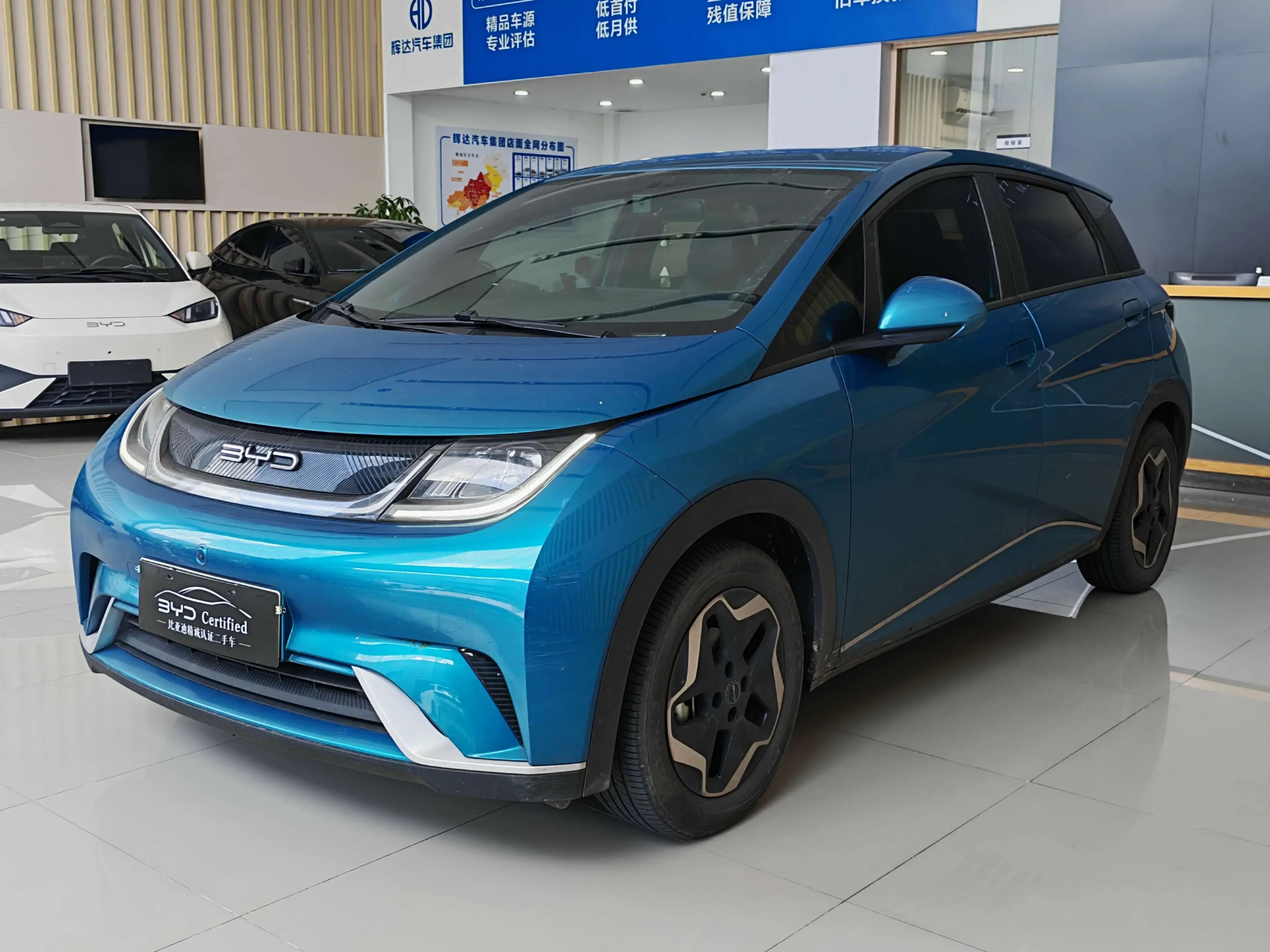 BYD dolphin