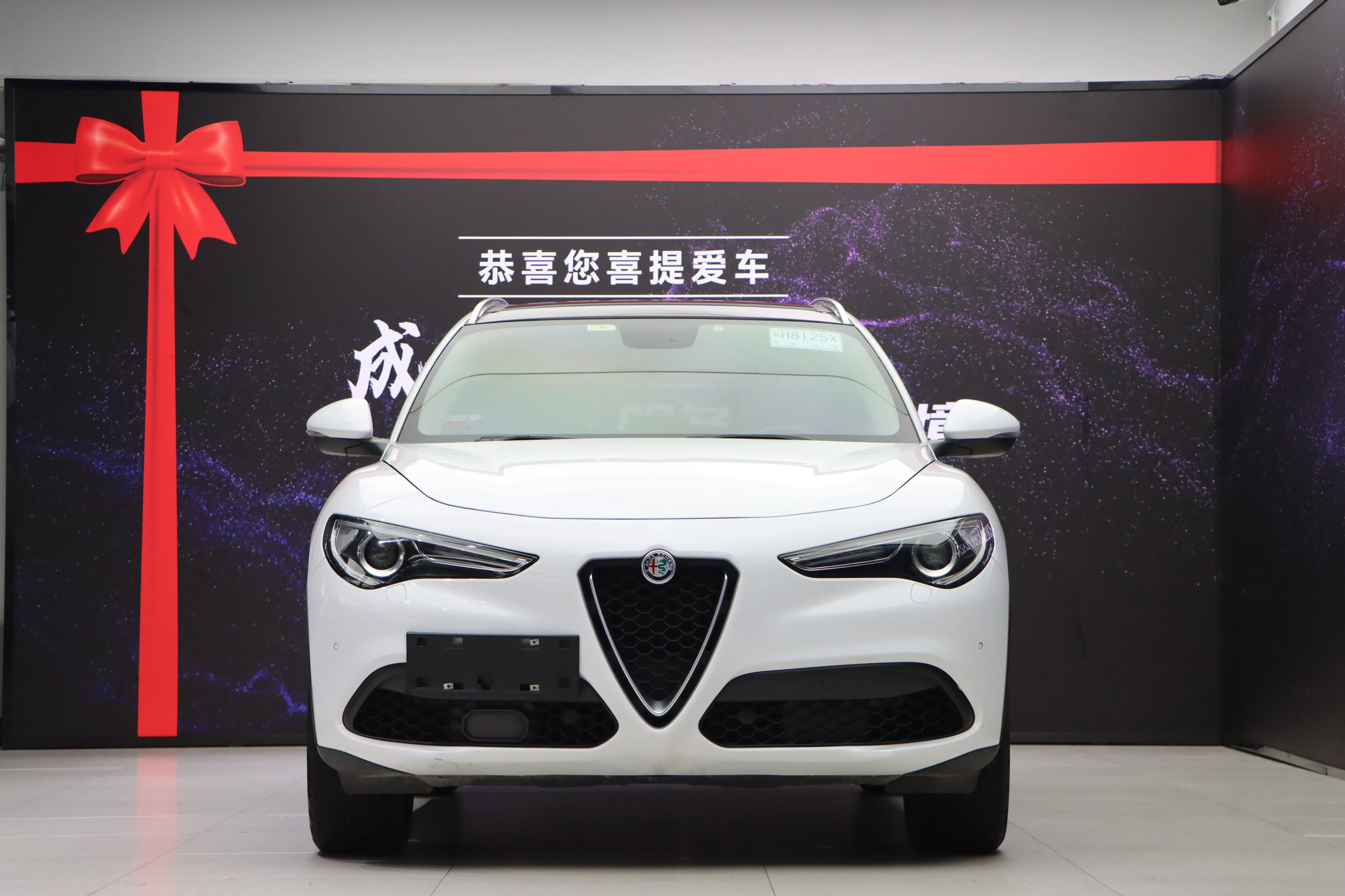 Alfa romeo Stelvio