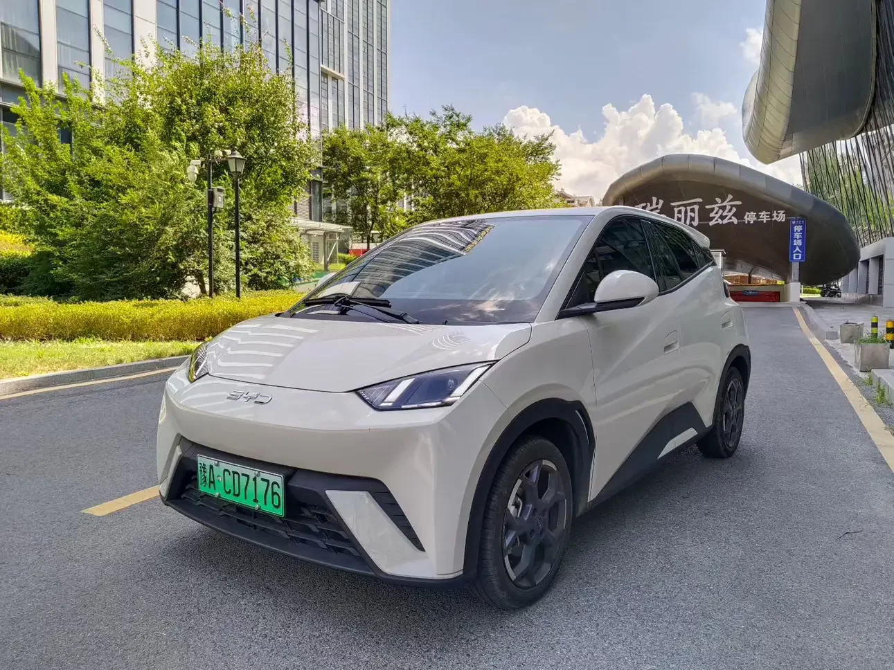 BYD seagull