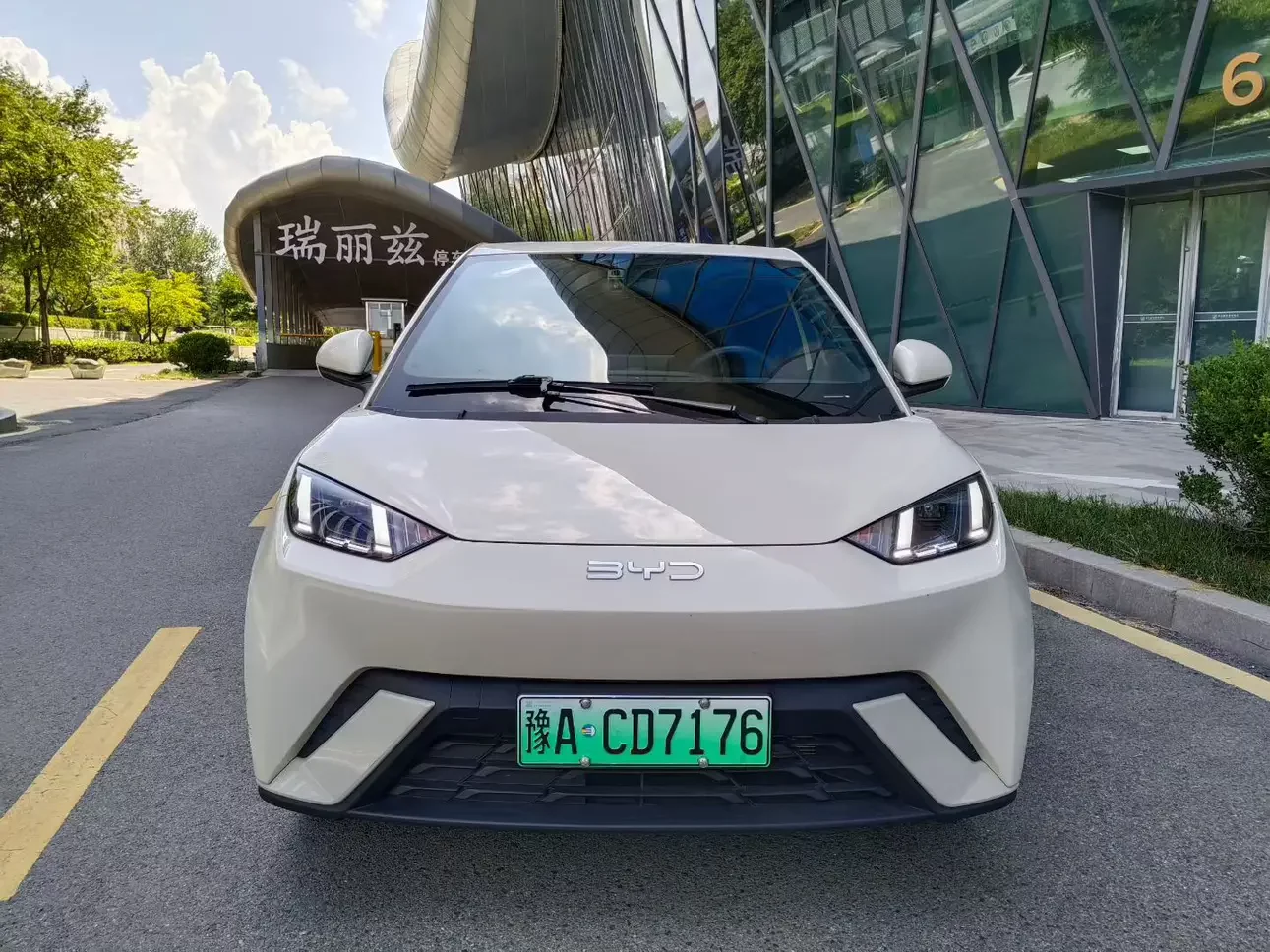 BYD seagull