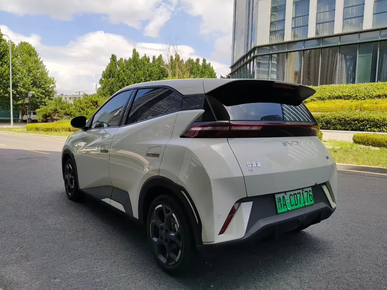 BYD seagull