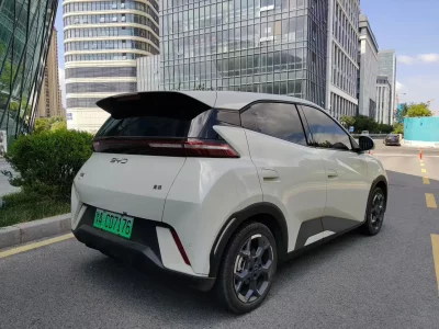 BYD seagull