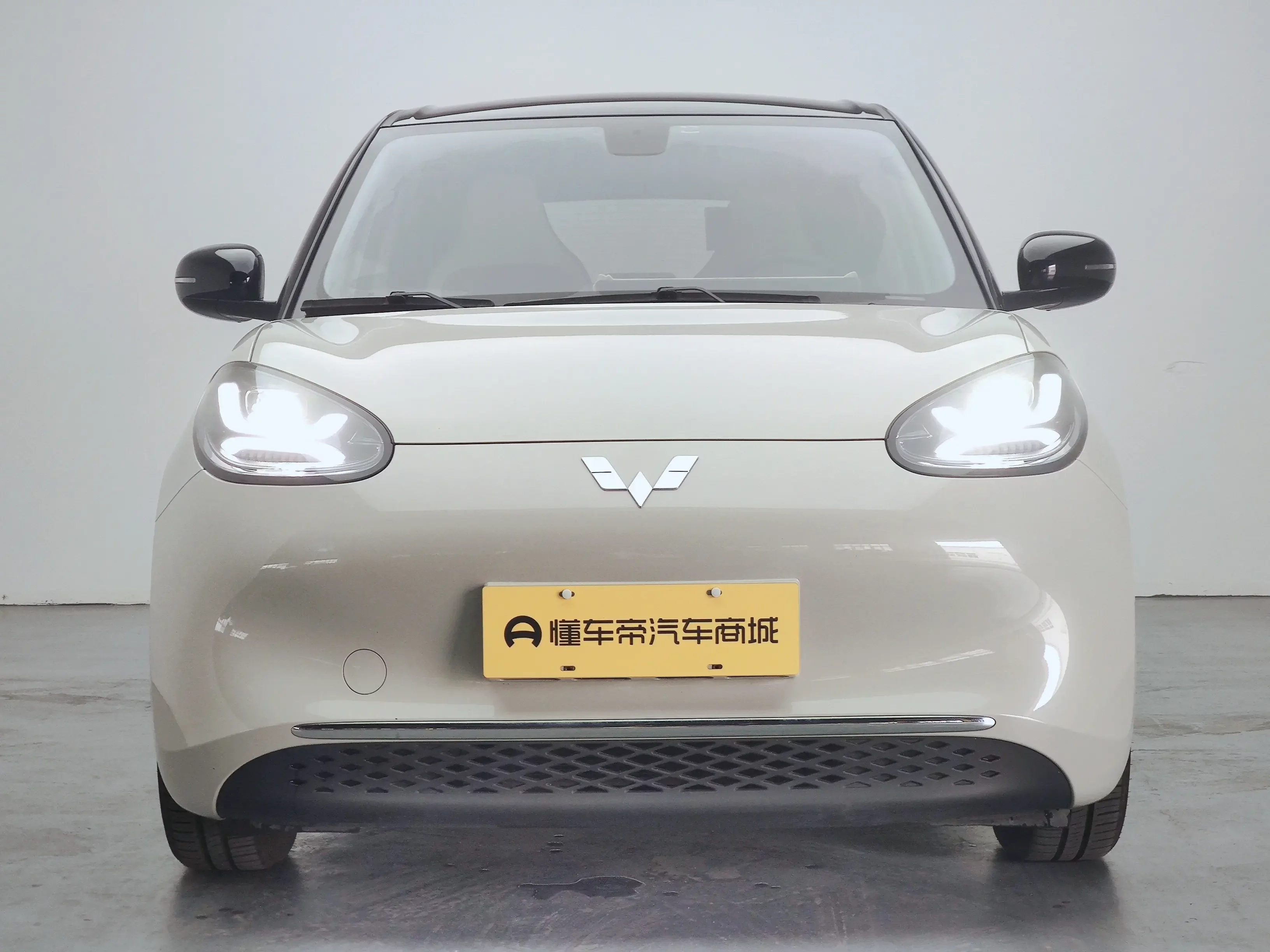 Wuling Bingo
