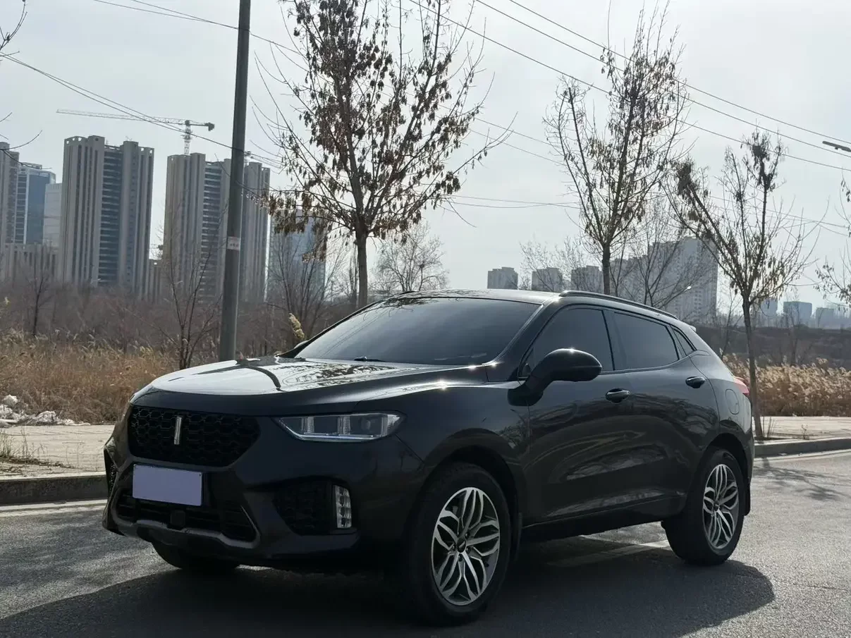 Wey Wei brand VV5