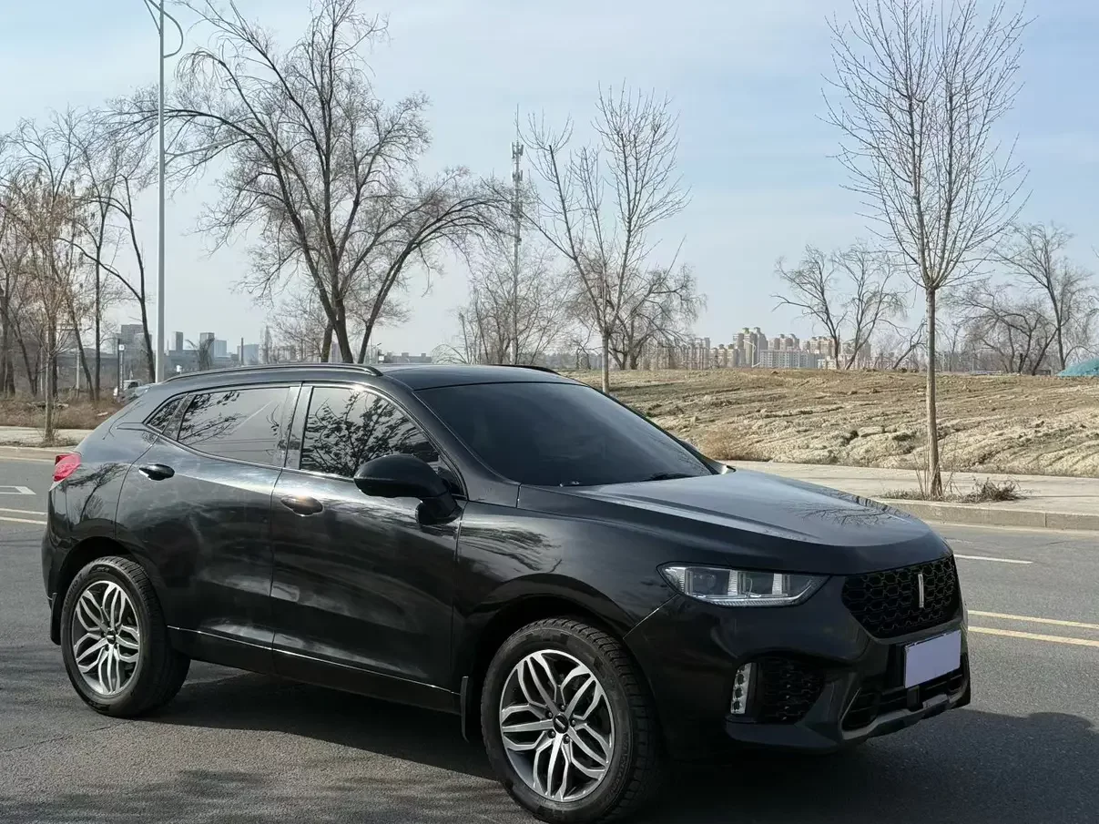 Wey Wei brand VV5