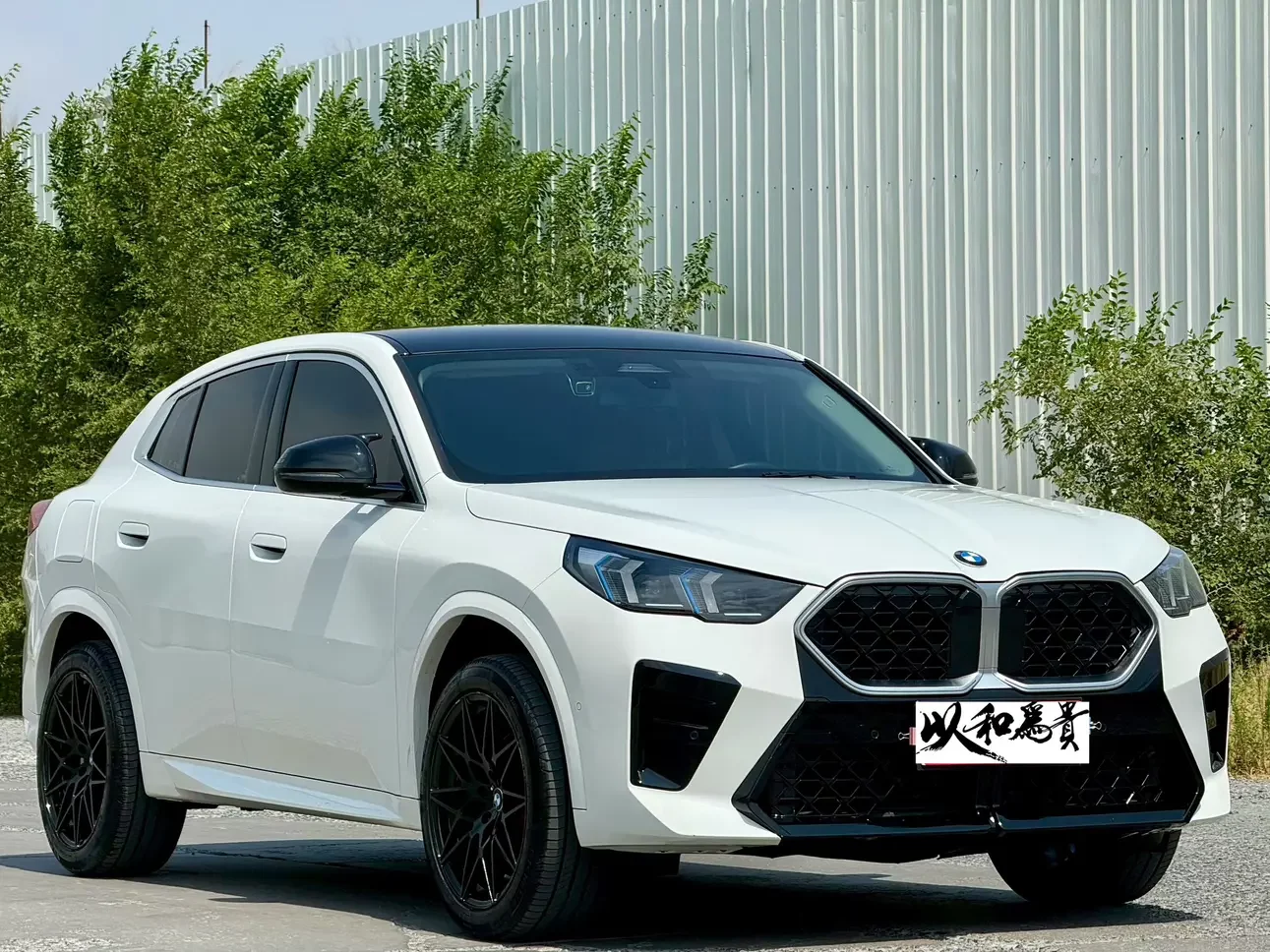 BMW X2