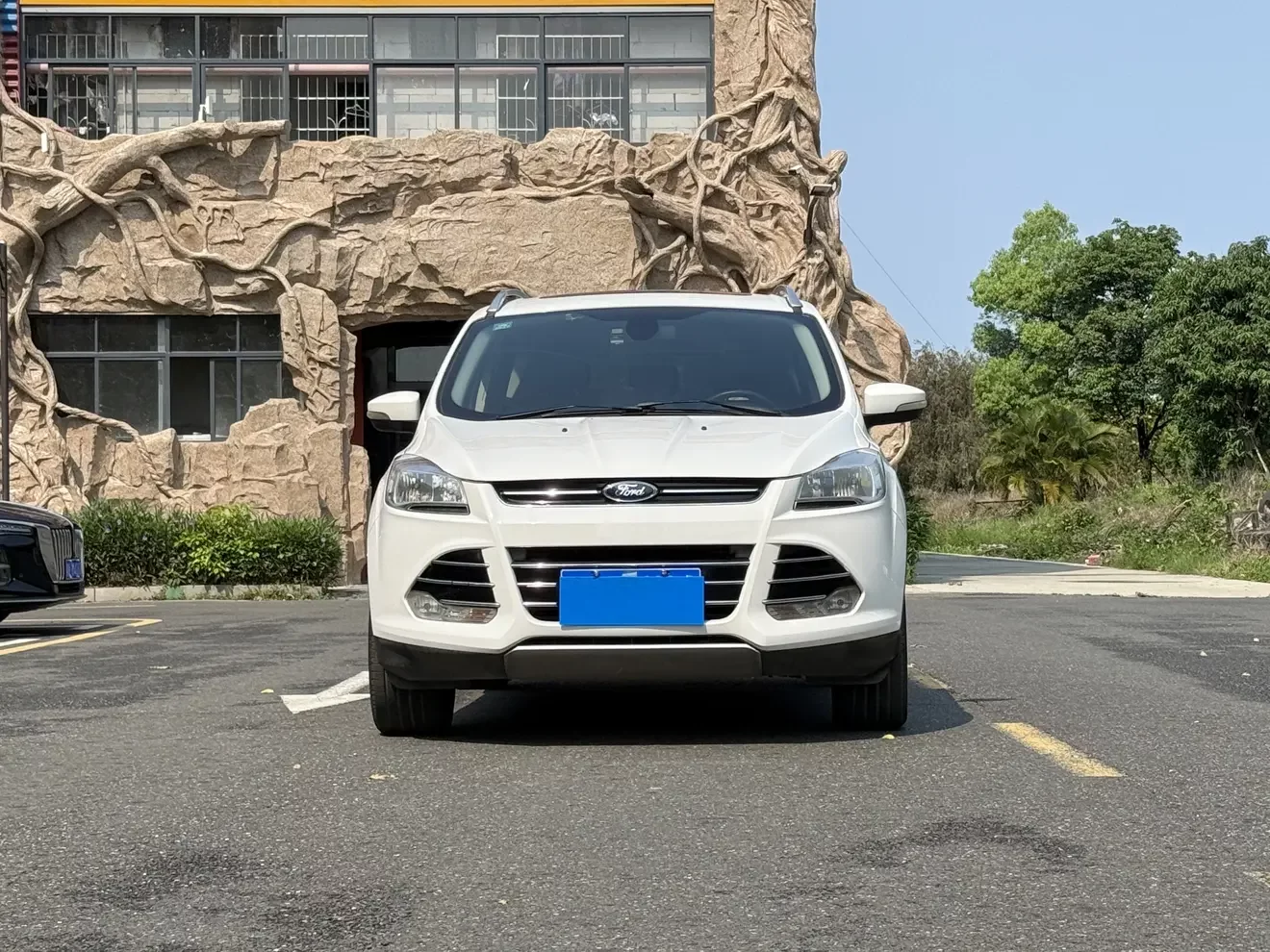 Ford wing tiger