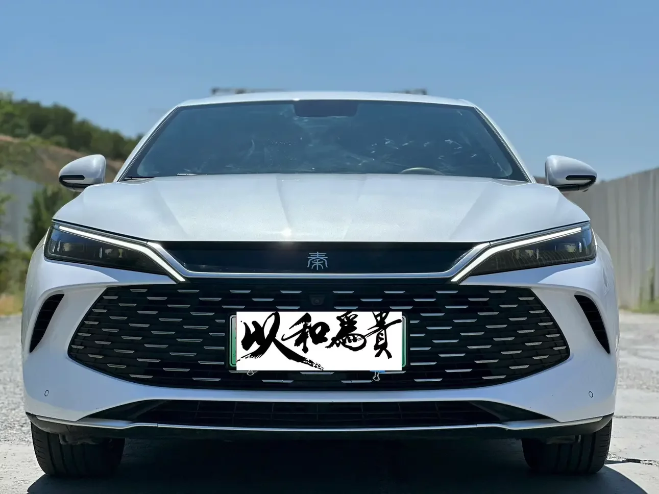 BYD Qin L DM