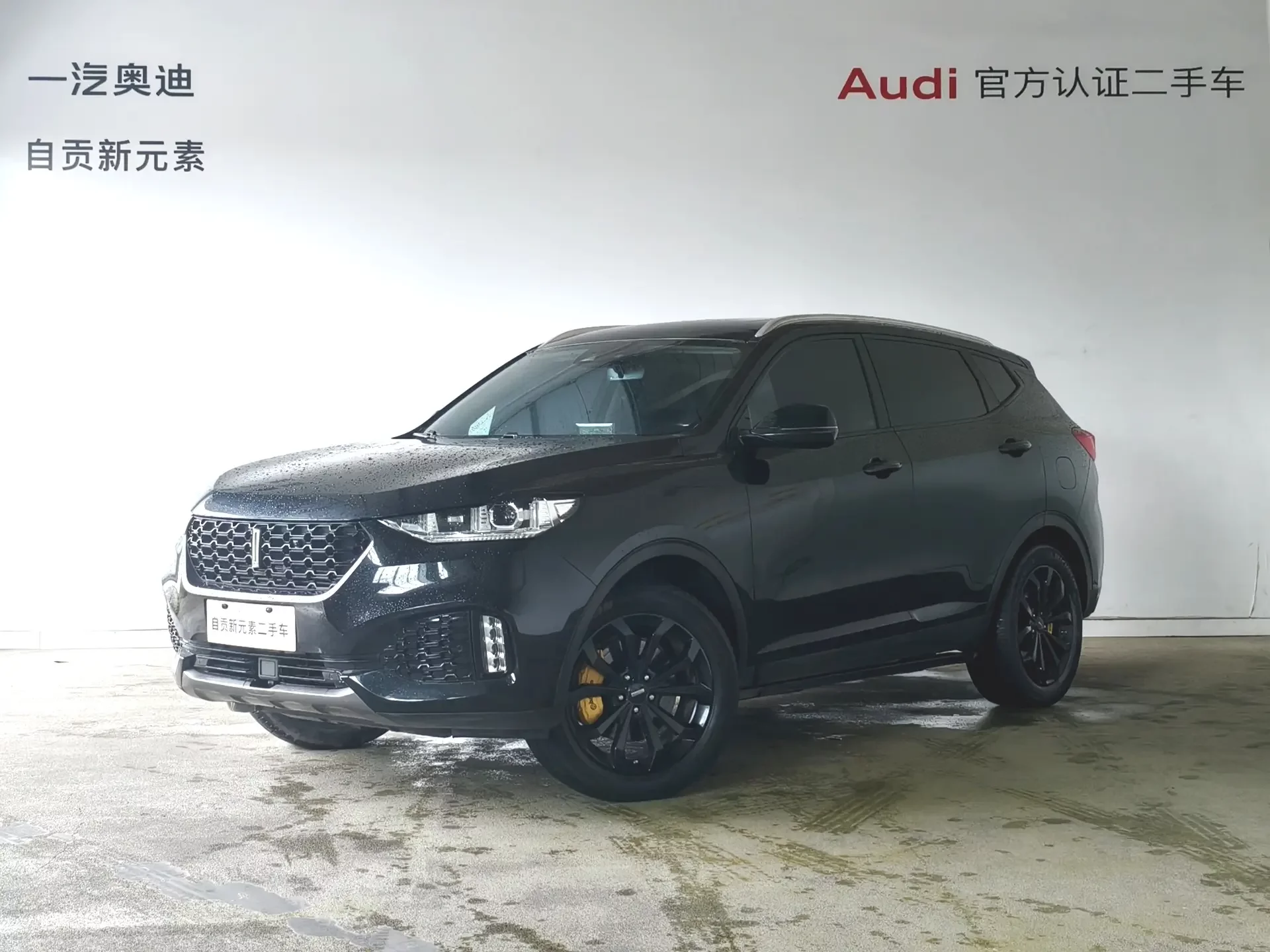Wey Wei brand VV6