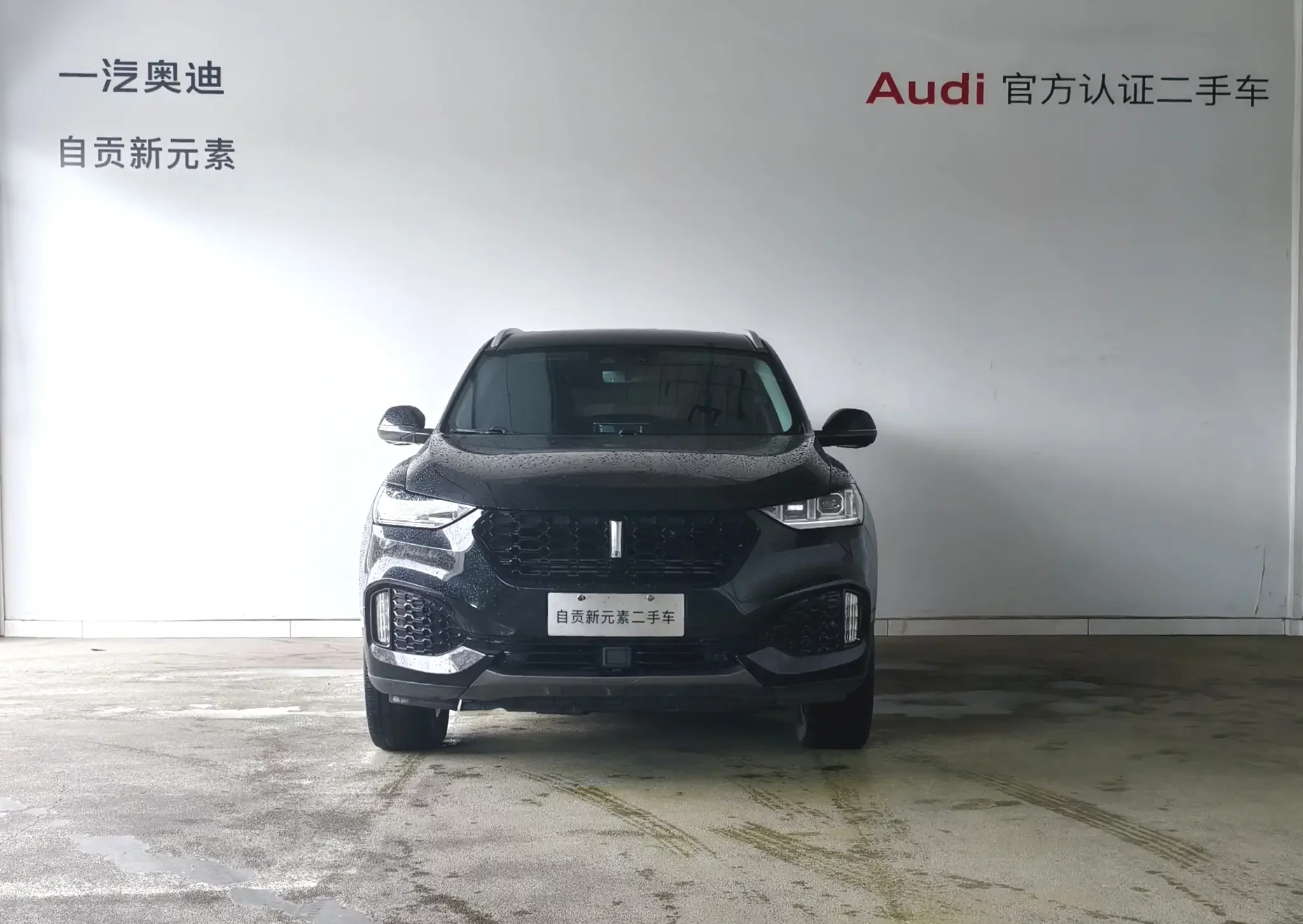 Wey Wei brand VV6