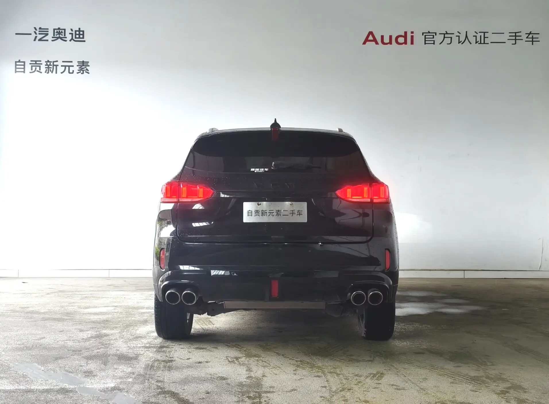 Wey Wei brand VV6