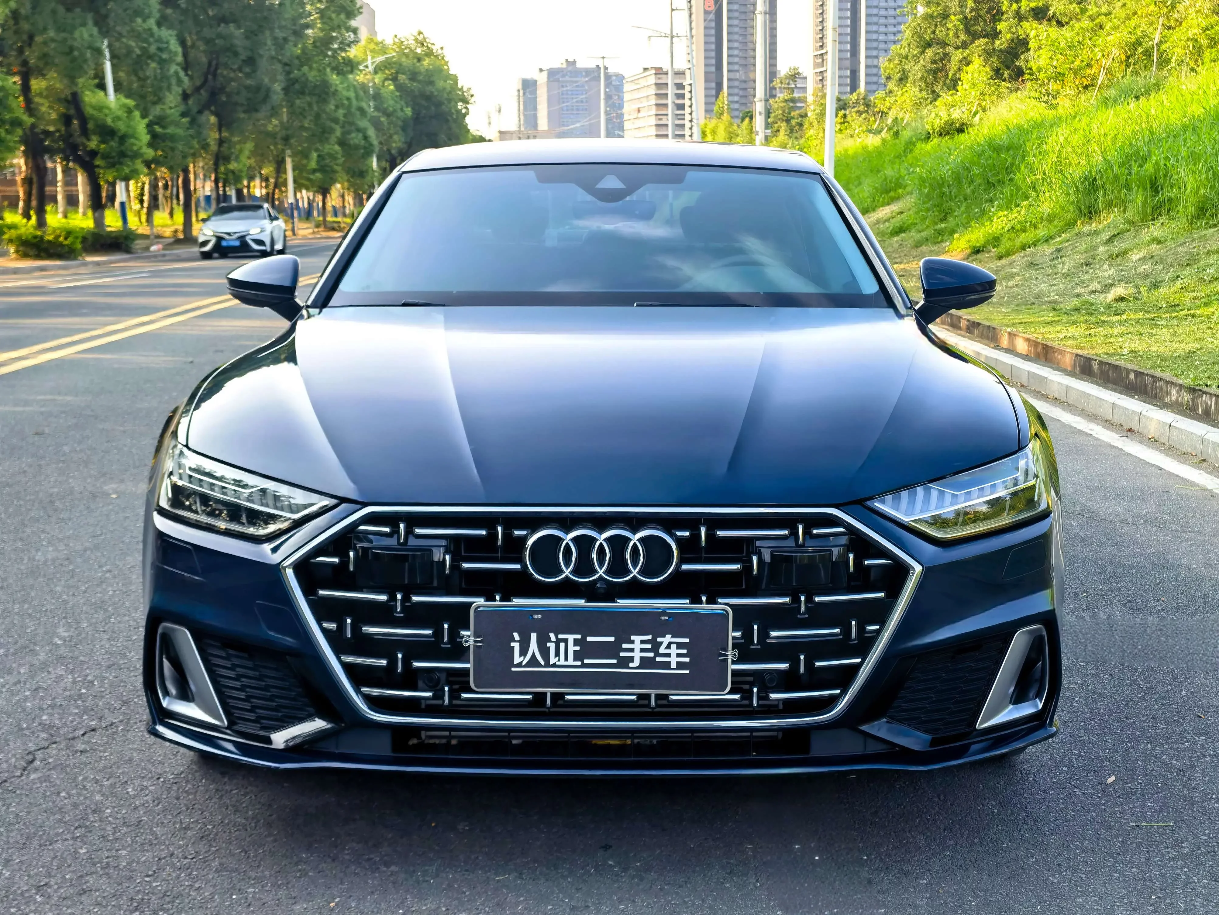 Audi A7L
