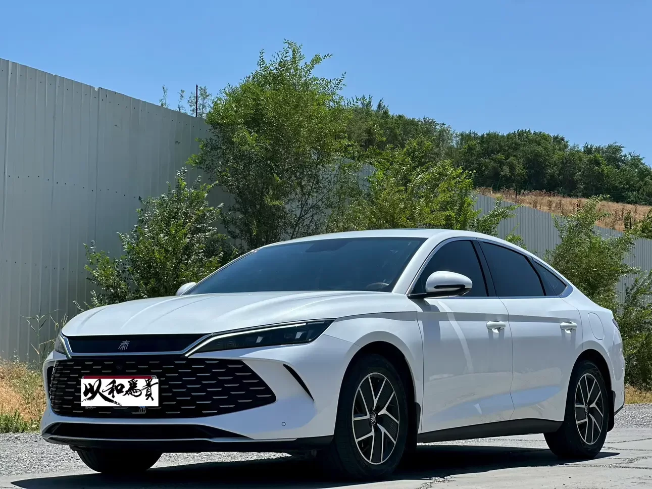 BYD Qin L DM