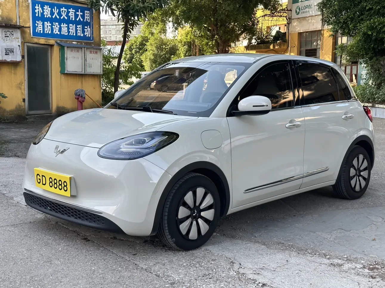 Wuling Bingo