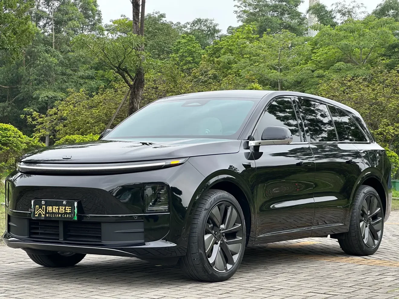 Li L6 (Ideal L6)