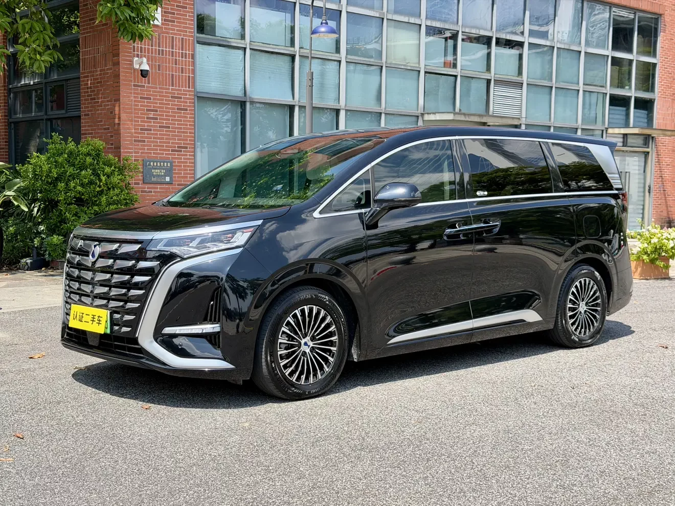 Denza D9 DM