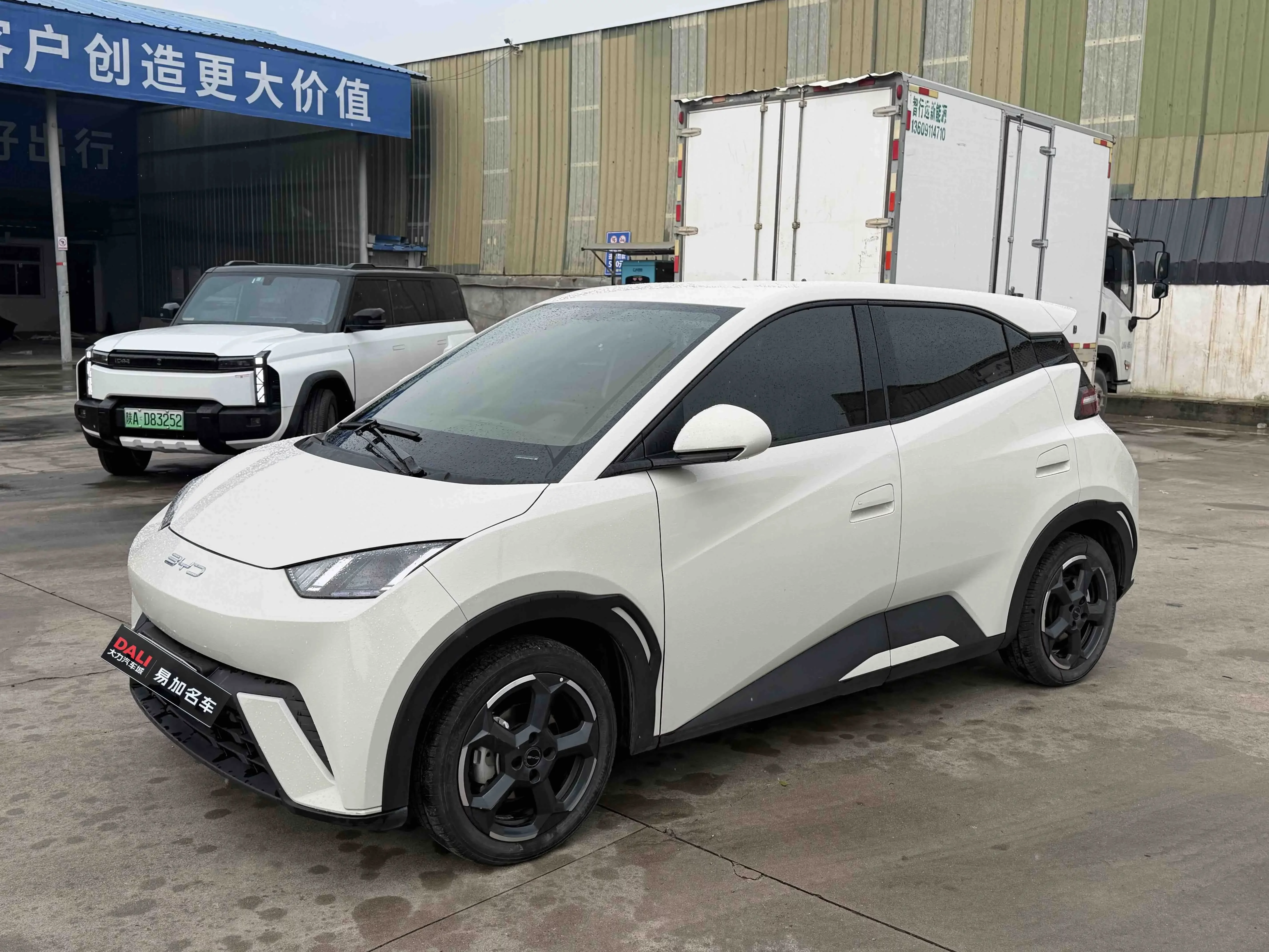BYD seagull