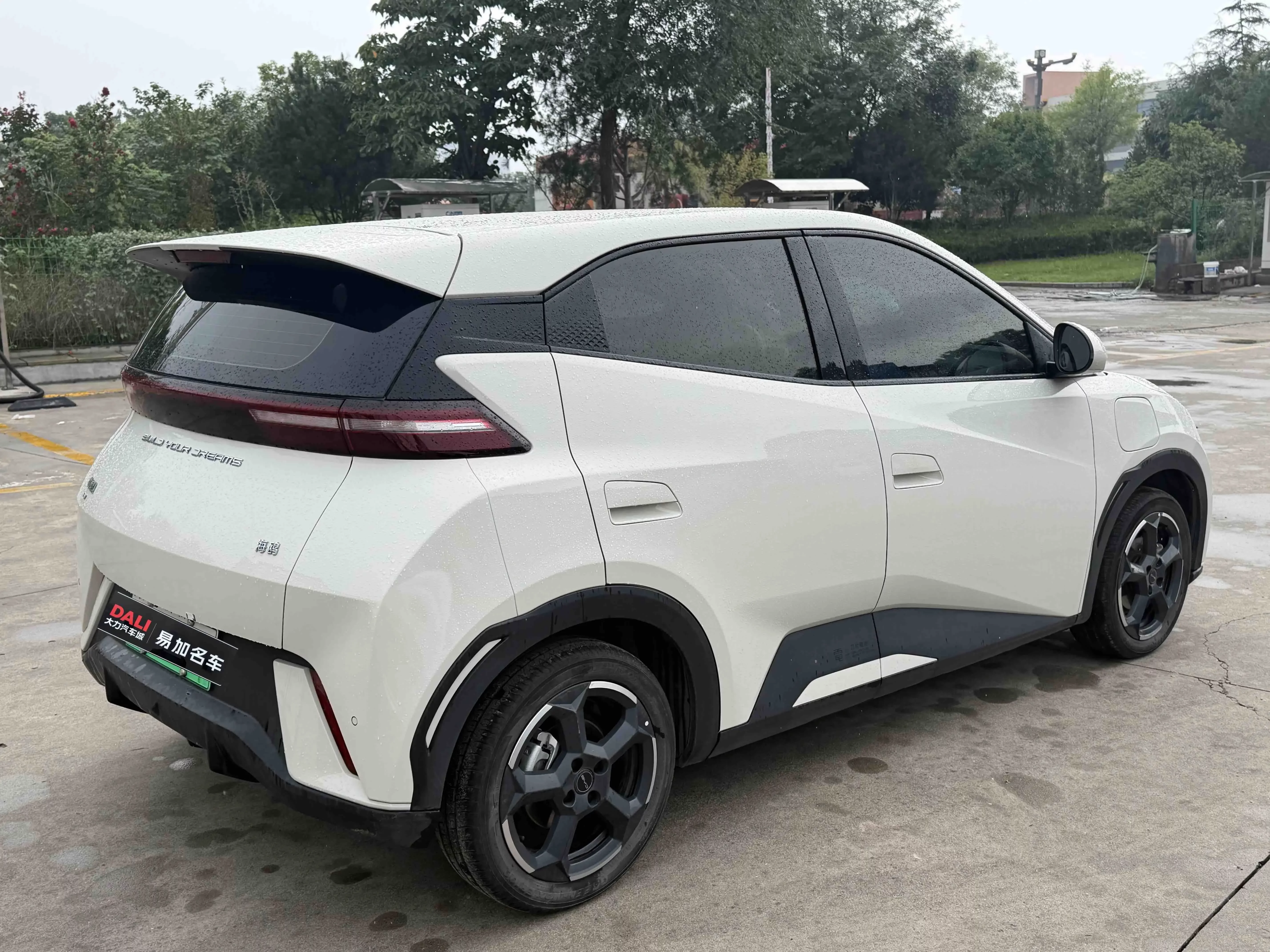 BYD seagull