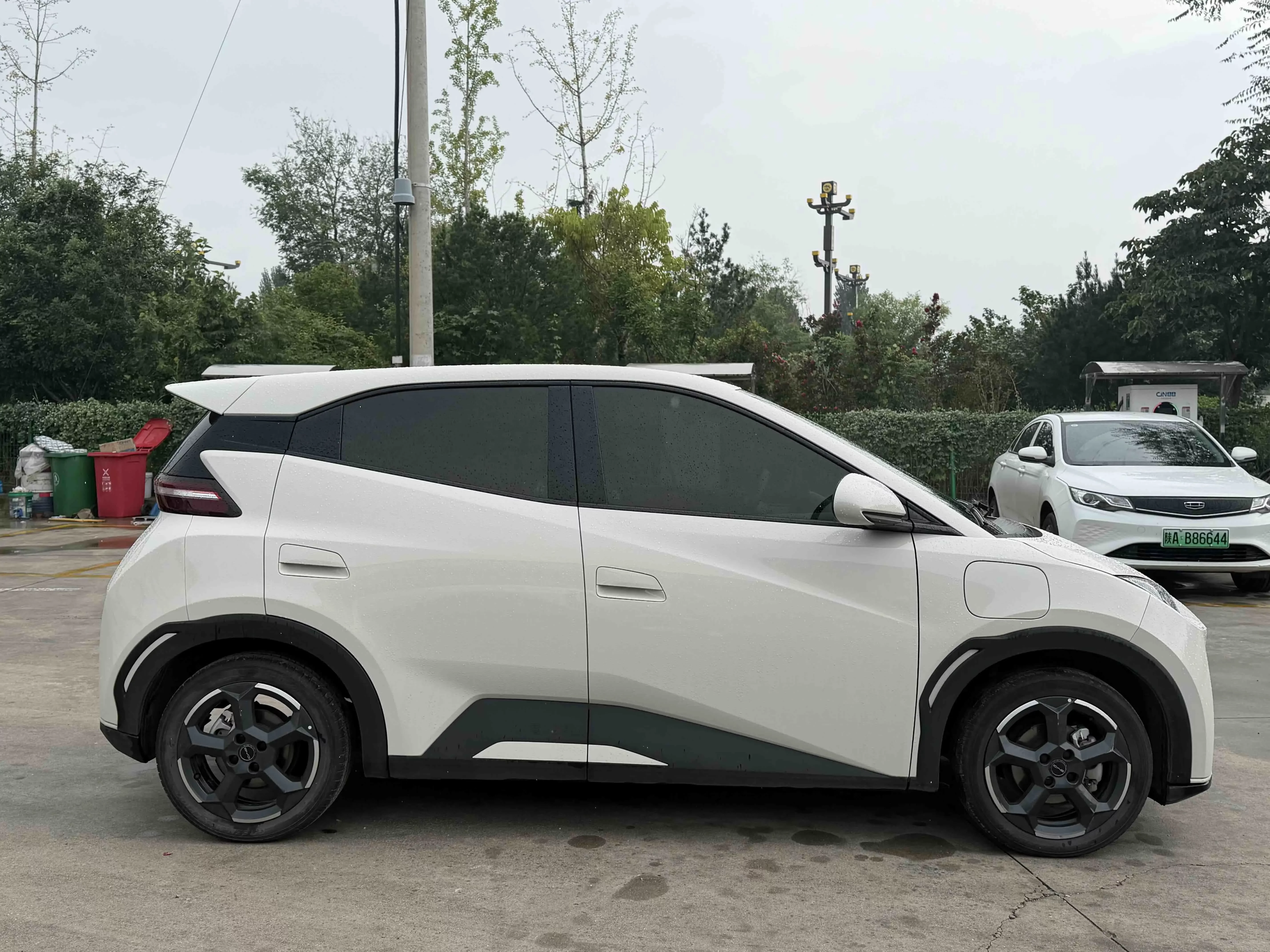 BYD seagull