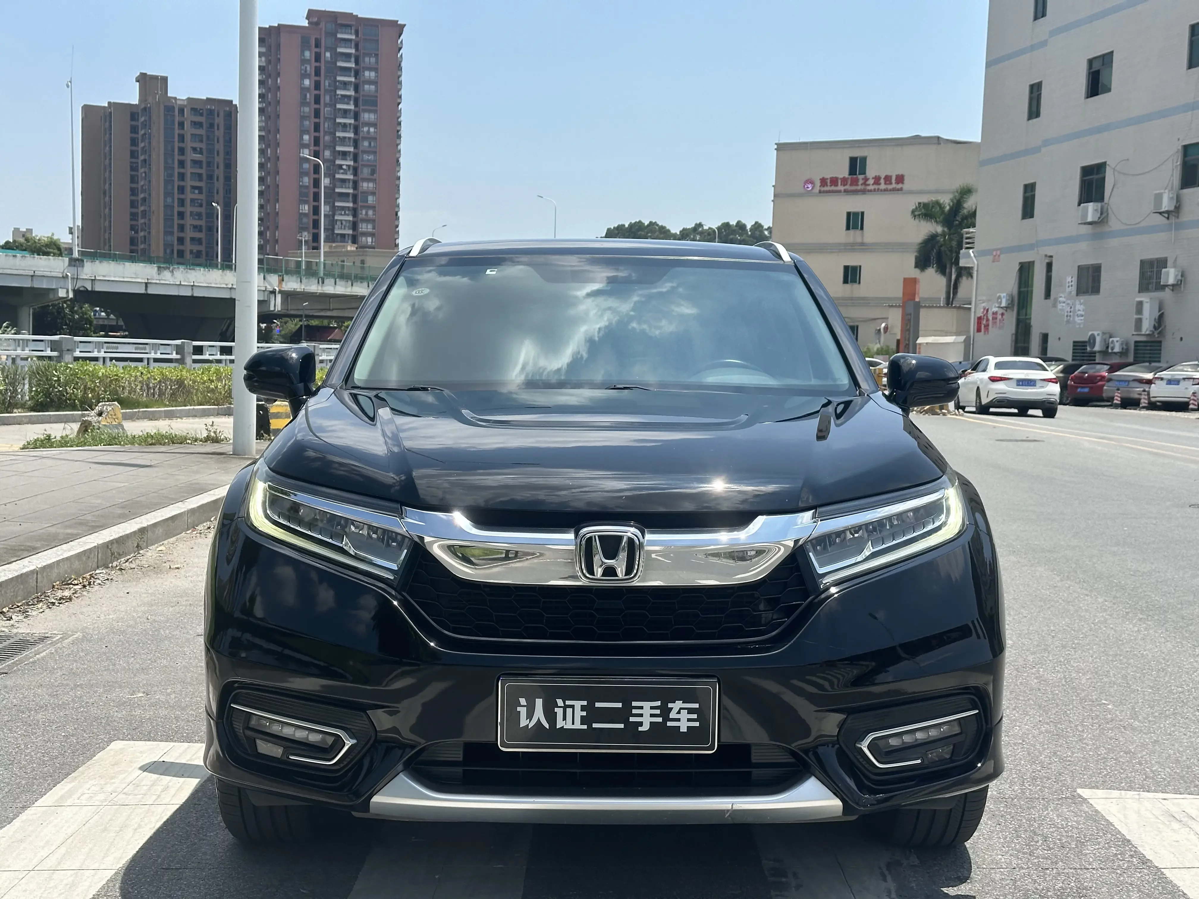 Honda Avancier (Crown Road)