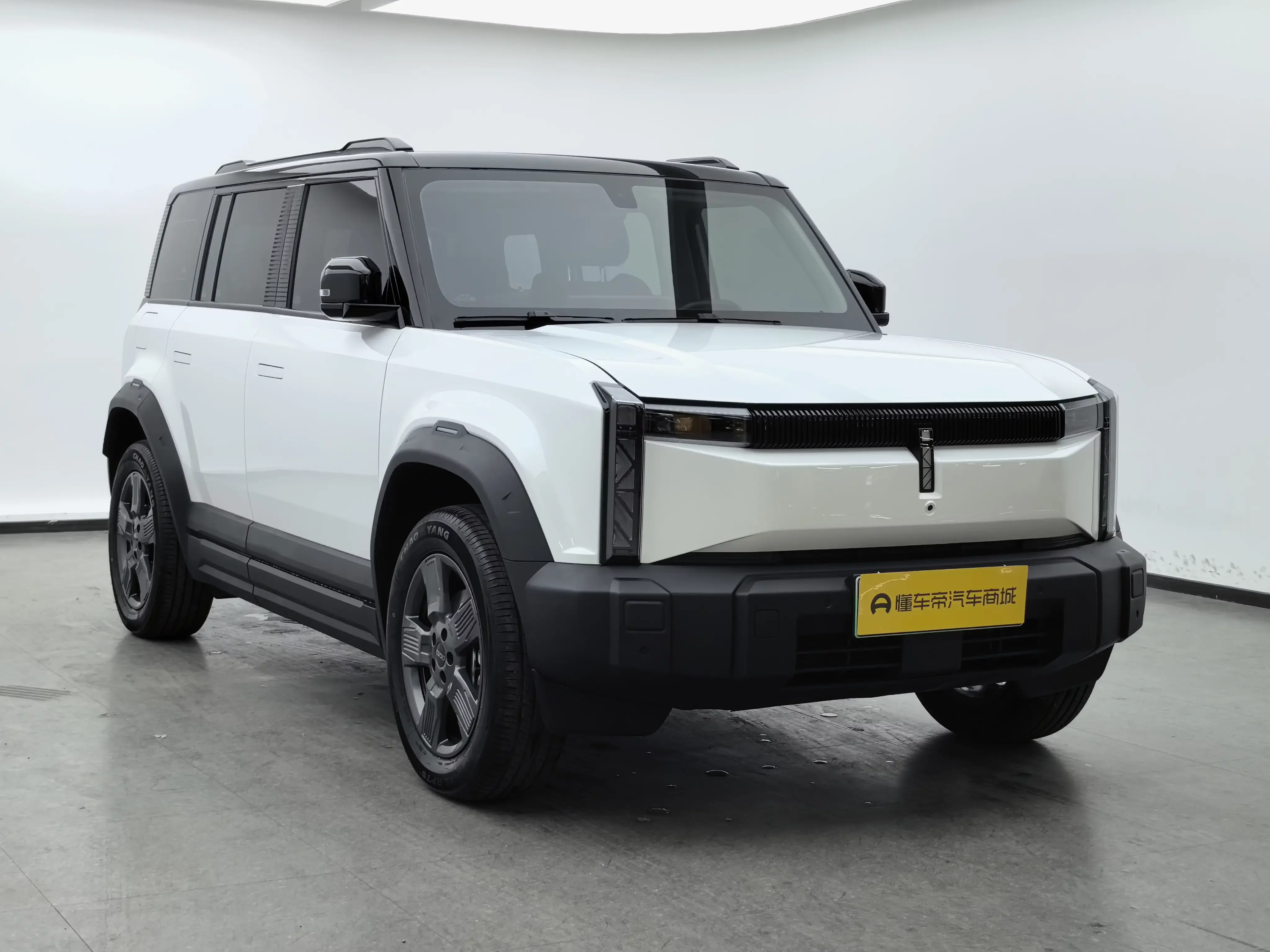 ICAR 03